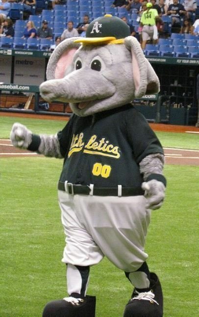 NUTMEG製⚾MLB🌎オークランド🐘アスレチックスのTシャツを NUTMEG製⚾MLB🌎オークランド🐘アスレチックスのTシャツを