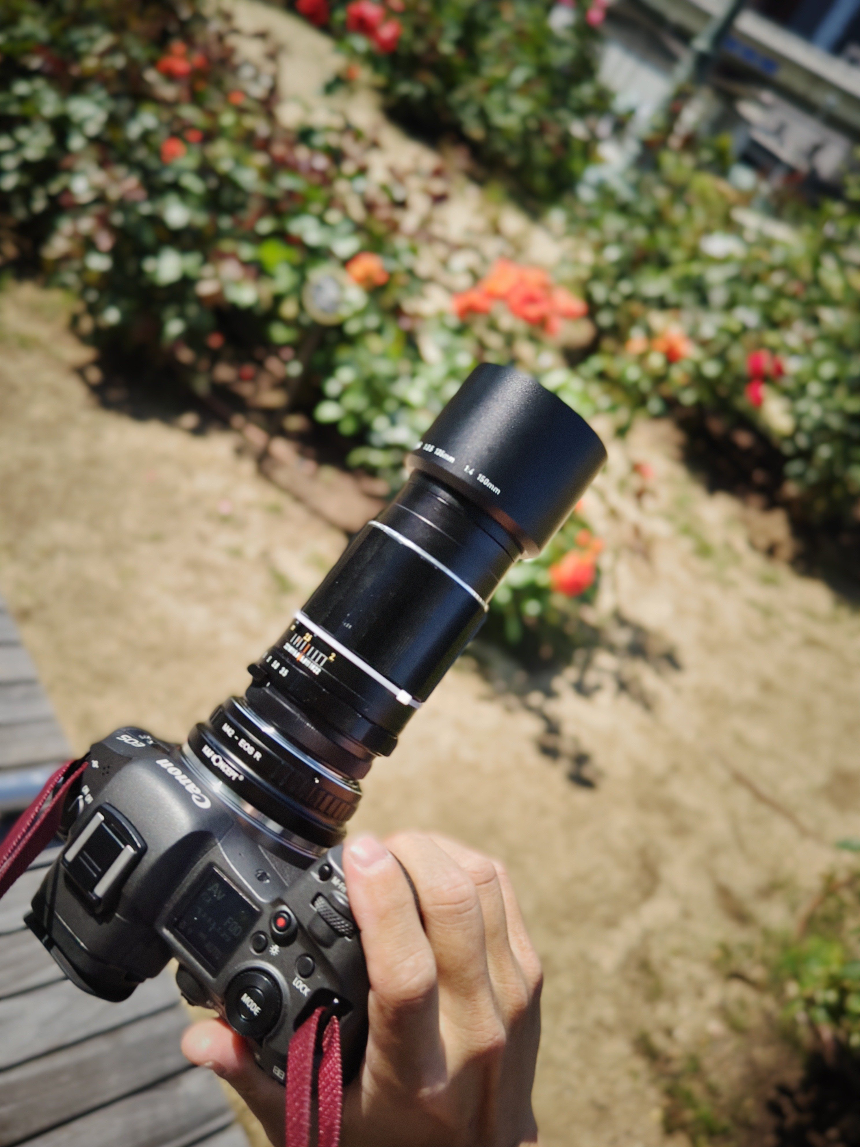mayuriとレンズぬま *第二十三本* ASAHI PENTAX Super-Multi
