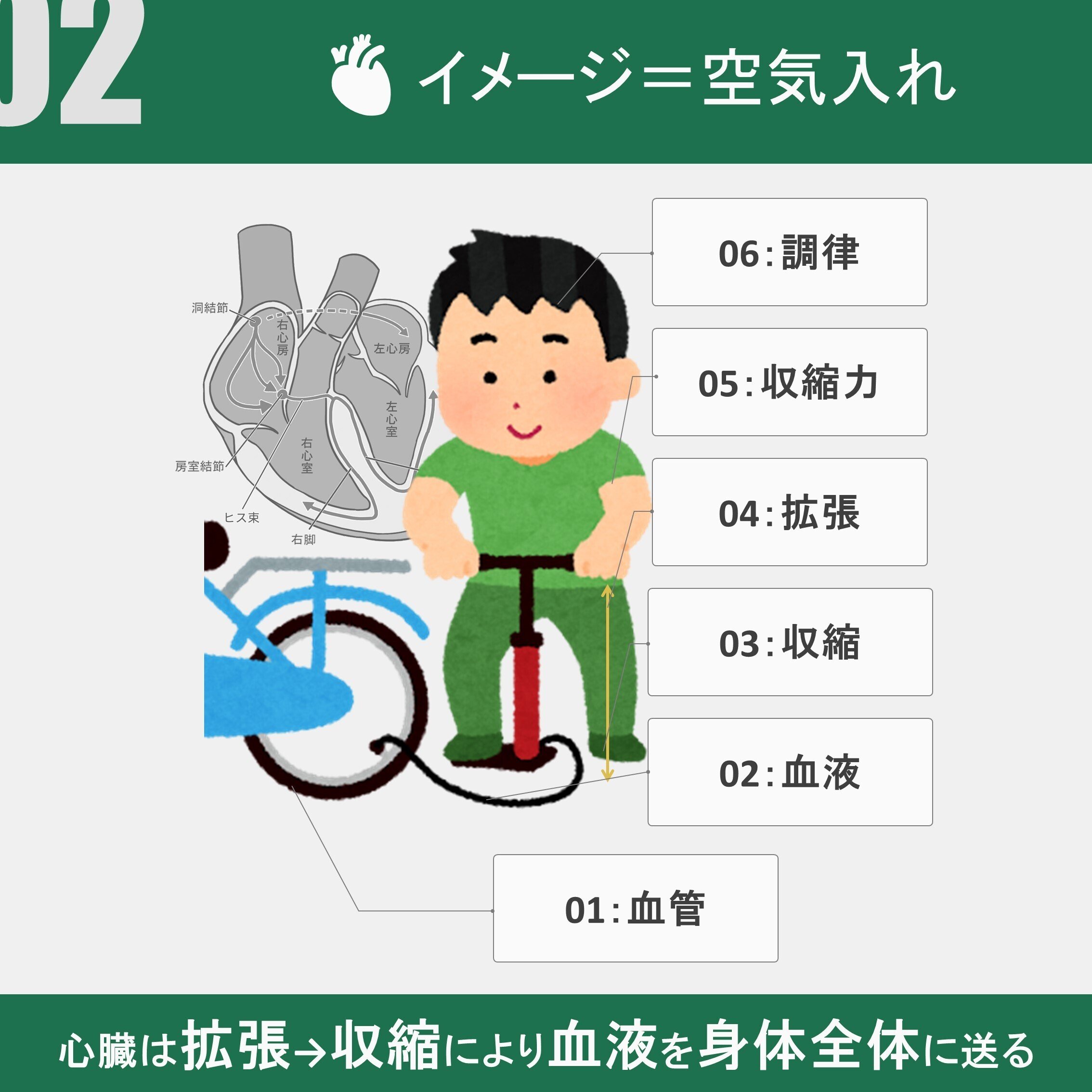 高齢心不全患者に対する理学療法 高齢心不全患者に対する理学療法【全2巻・分売不可】 高齢心不全