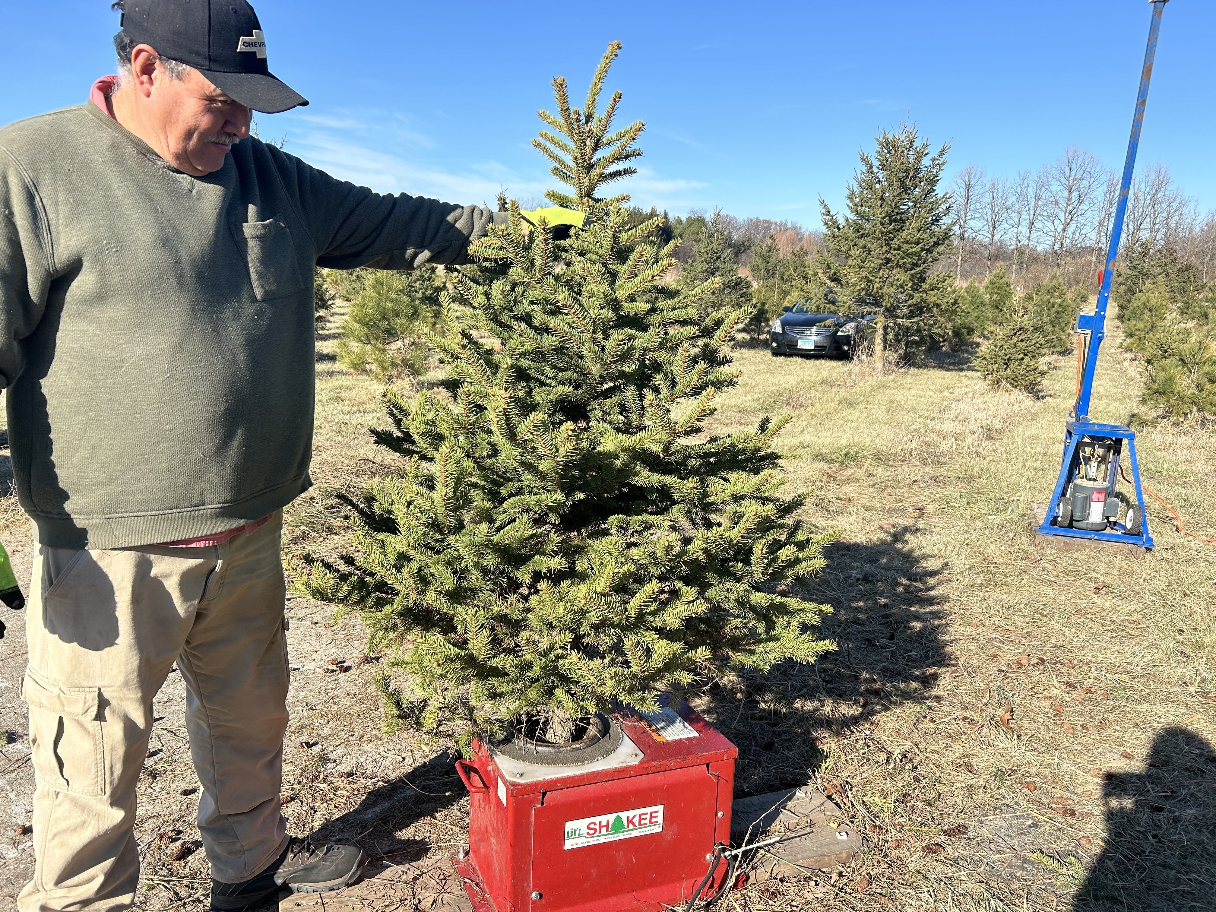 アメリカ購入ビッグな回転式230cmクリスマスツリー.処分予定のため早め