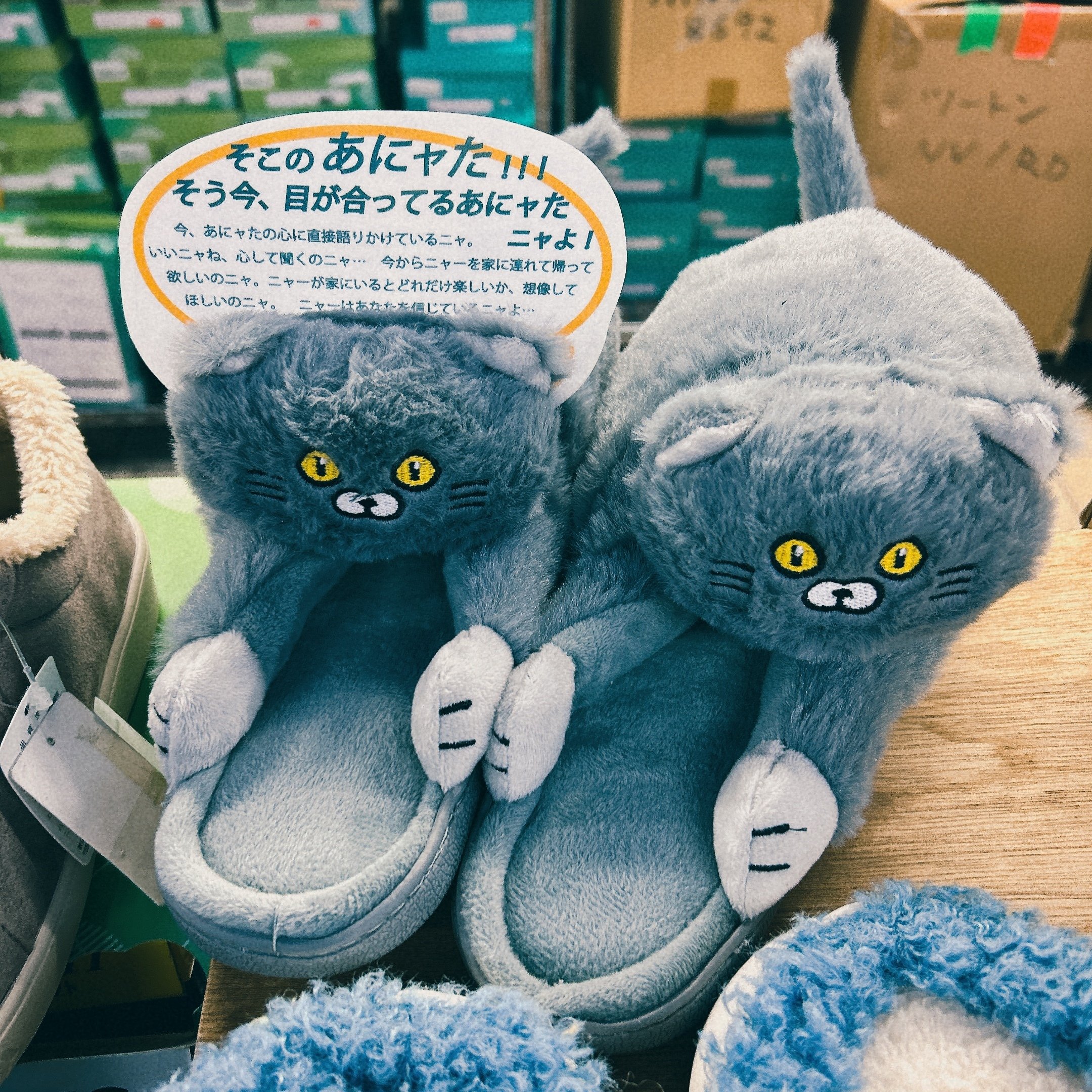 毎朝ドリップ#54 スリッパに擬態したネコを連れ帰った話 2024.12.20