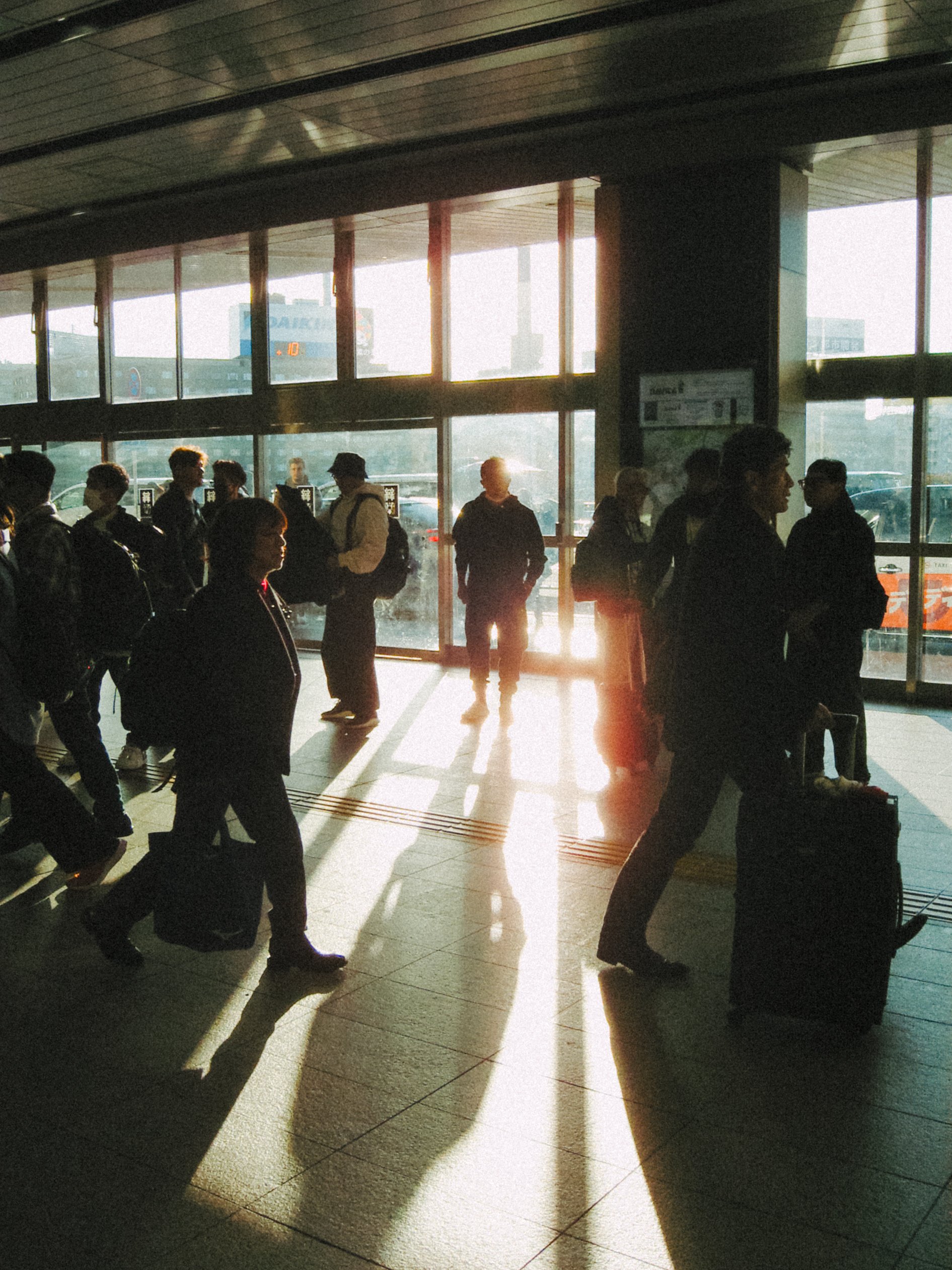 ⭐︎デジカメまとめ売り 2 オールドデジカメ専門店 Tugumi おすすめのデジカメ｜オガワタクヤ