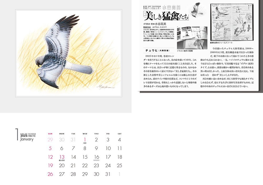 BIRDER2025年1月号 新連載の見どころ|ブンイチ(文一総合出版) BIRDER2025年1月号 新連載の見どころ|ブンイチ(文一総合出版)