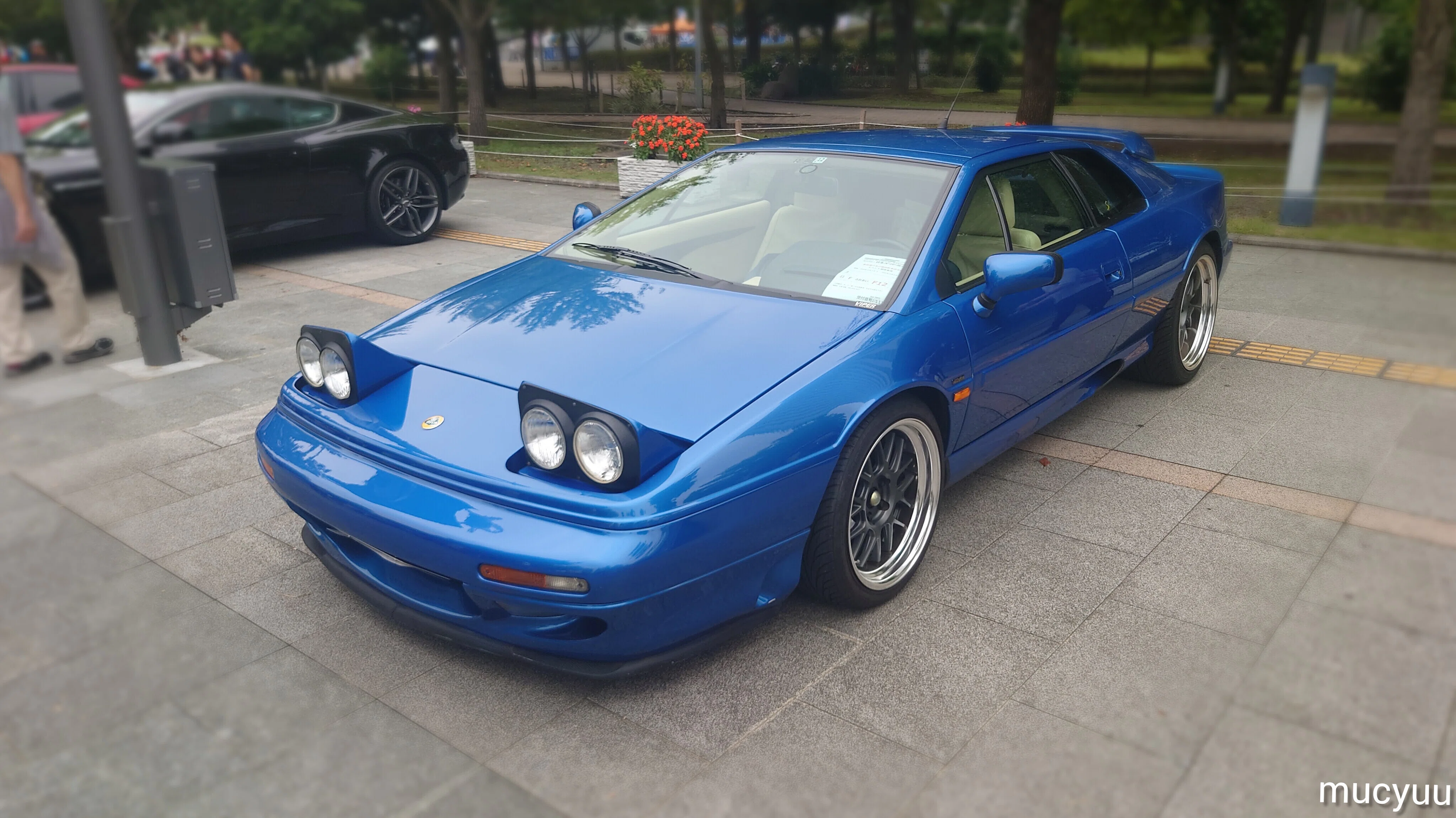 ロータス エスプリを見学 する事ができました this style｜夢の車夢の