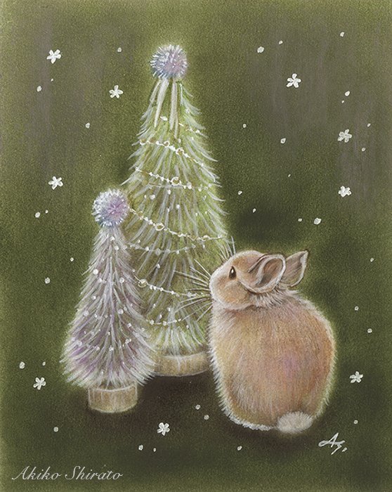 しらとあきこ｜うさぎのしっぽのクリスマス｜｜MAUVE CABINET