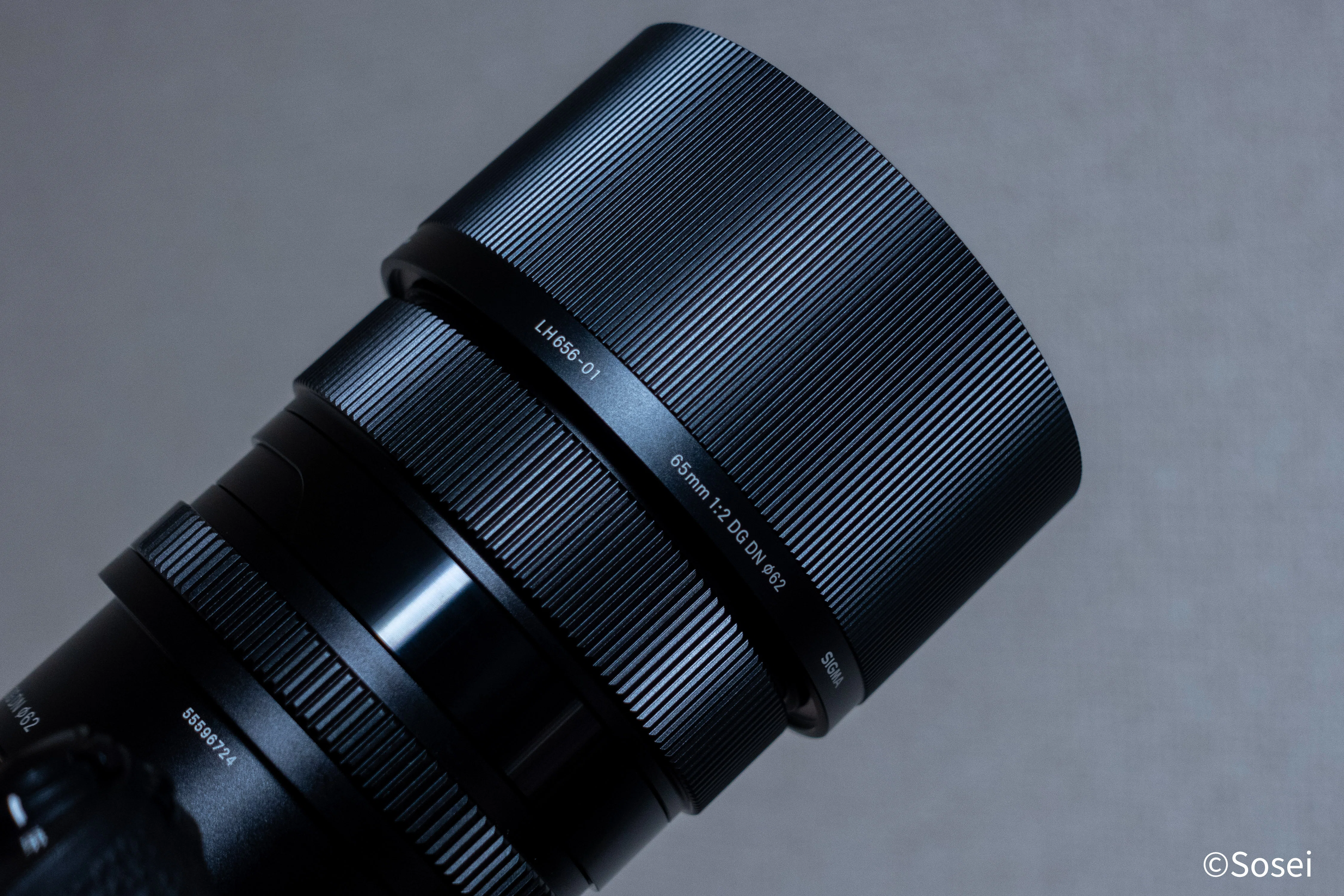 ミラーレス購入から4ヶ月で新レンズ購入！SIGMA 65mm F2 DG DN
