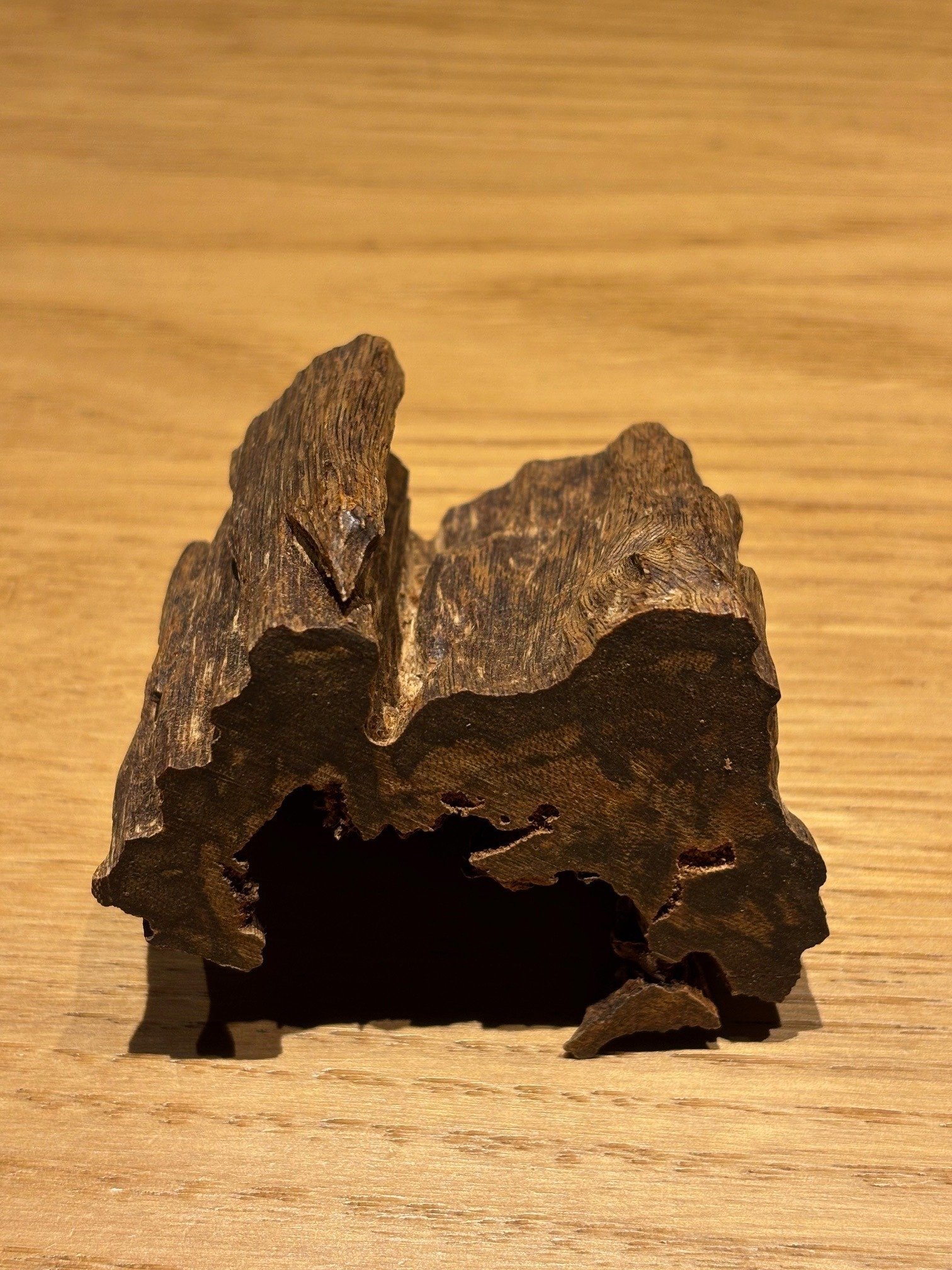 初春の推奨香木は、気品あふれる伽羅♪｜山田眞裕（麻布 香雅堂 主人）