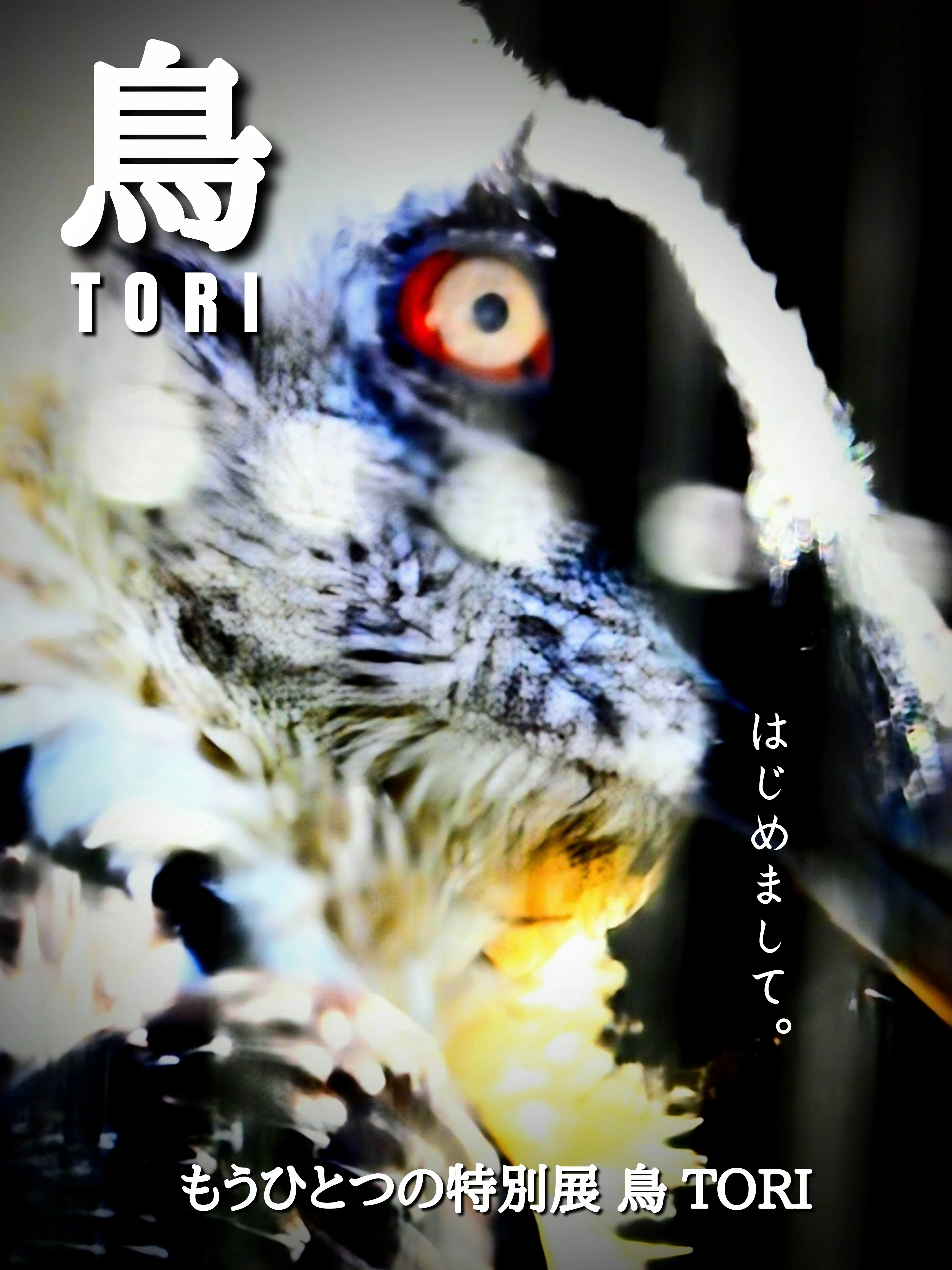 クリッパーに会いに行きました。 2024.12.11 wed.静岡県 日本平。｜michio