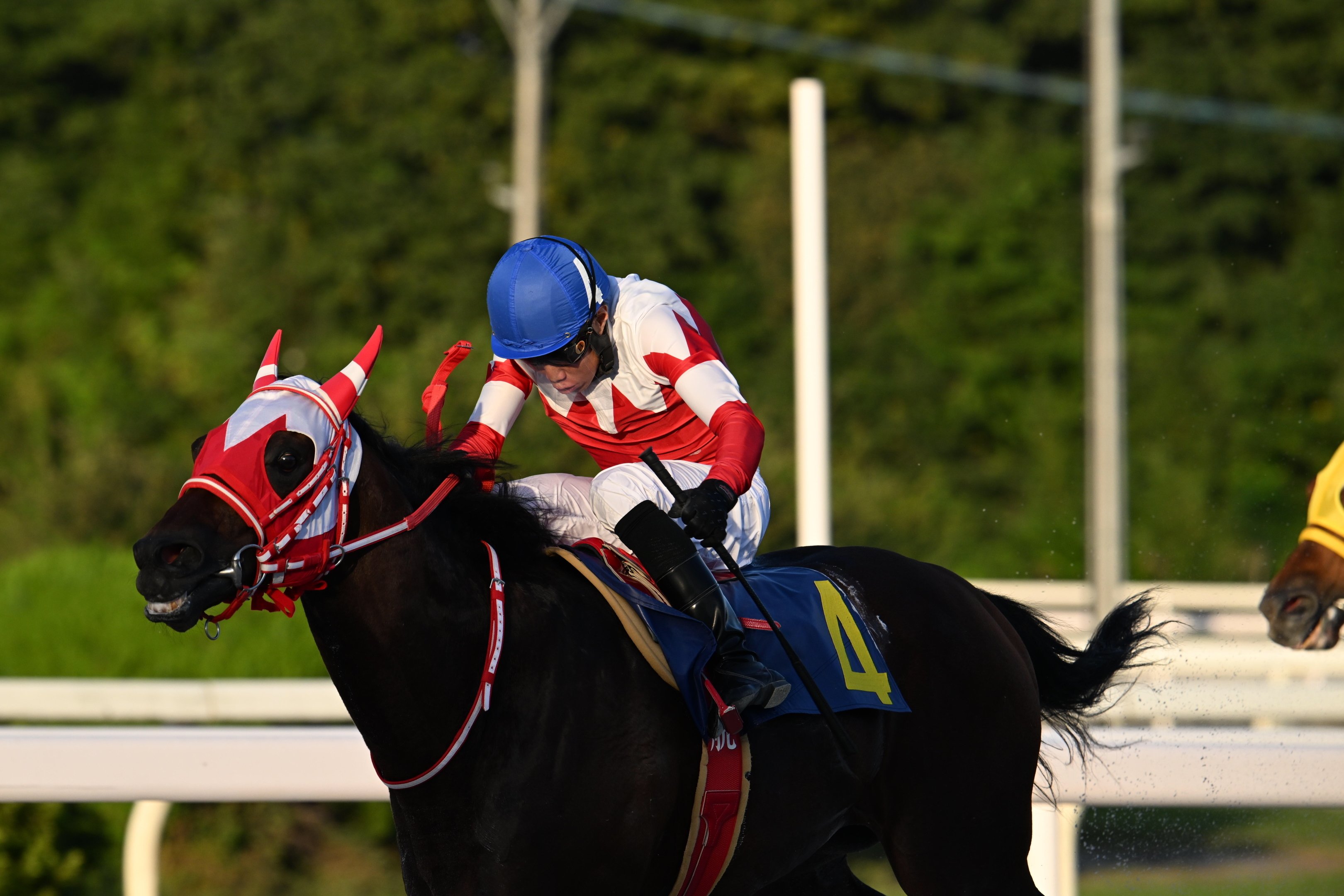 競馬の極み Z400mm f4.5が競馬撮影に良すぎる件｜枕木らくま