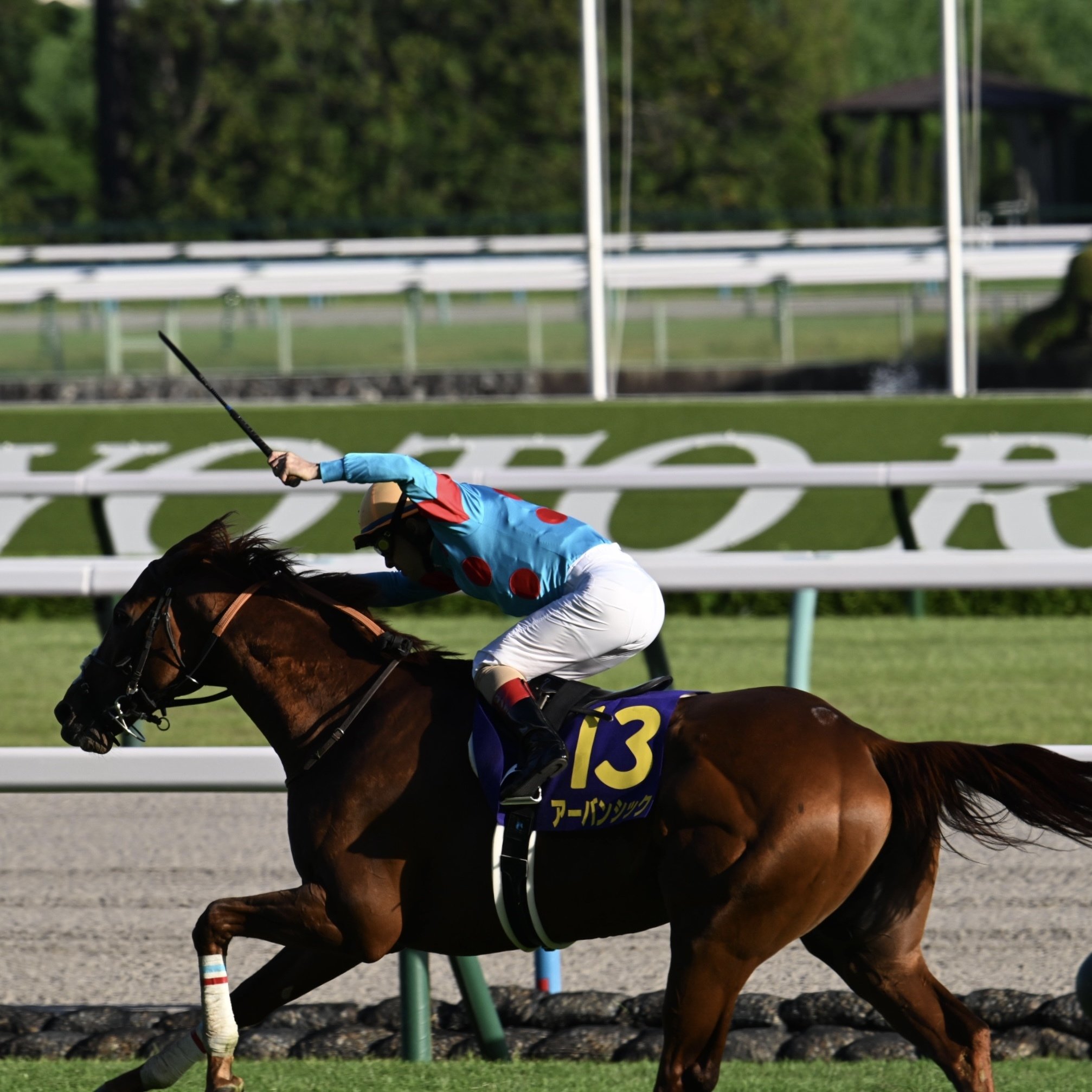 Z400mm f4.5が競馬撮影に良すぎる件｜枕木らくま