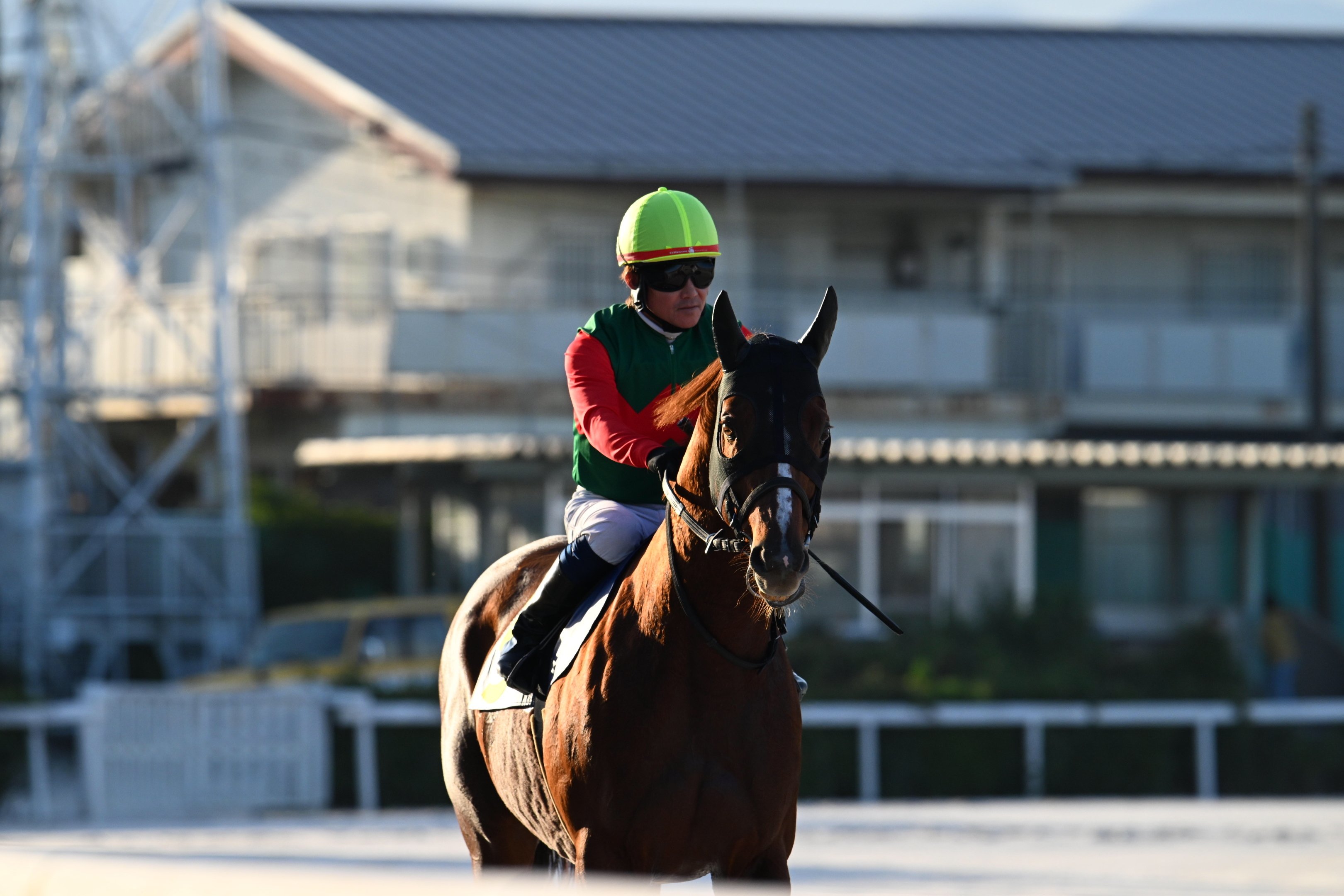 Z400mm f4.5が競馬撮影に良すぎる件｜枕木らくま