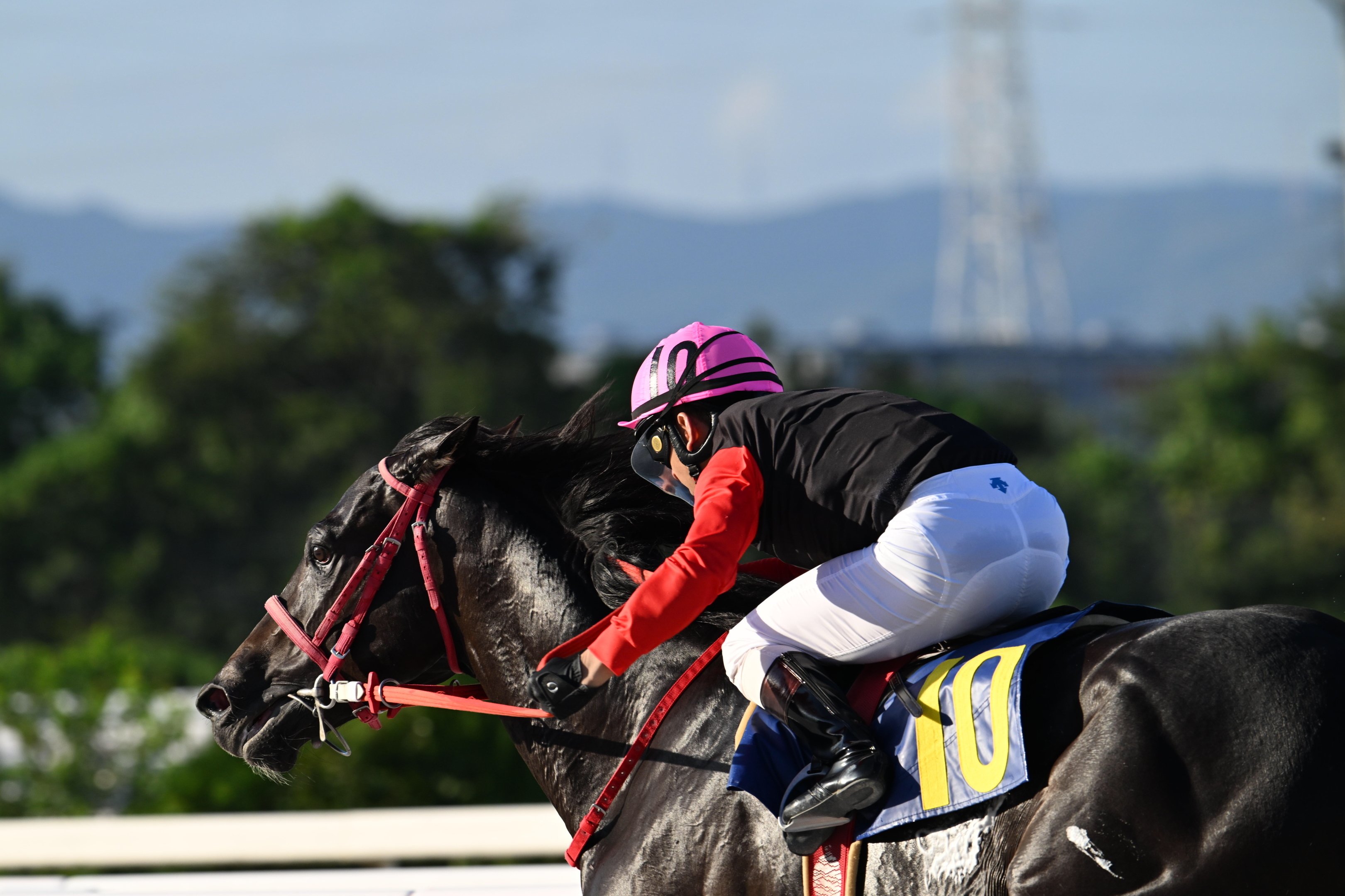 Z400mm f4.5が競馬撮影に良すぎる件|枕木らくま Z400mm f4.5が競馬撮影に良すぎる件|枕木らくま