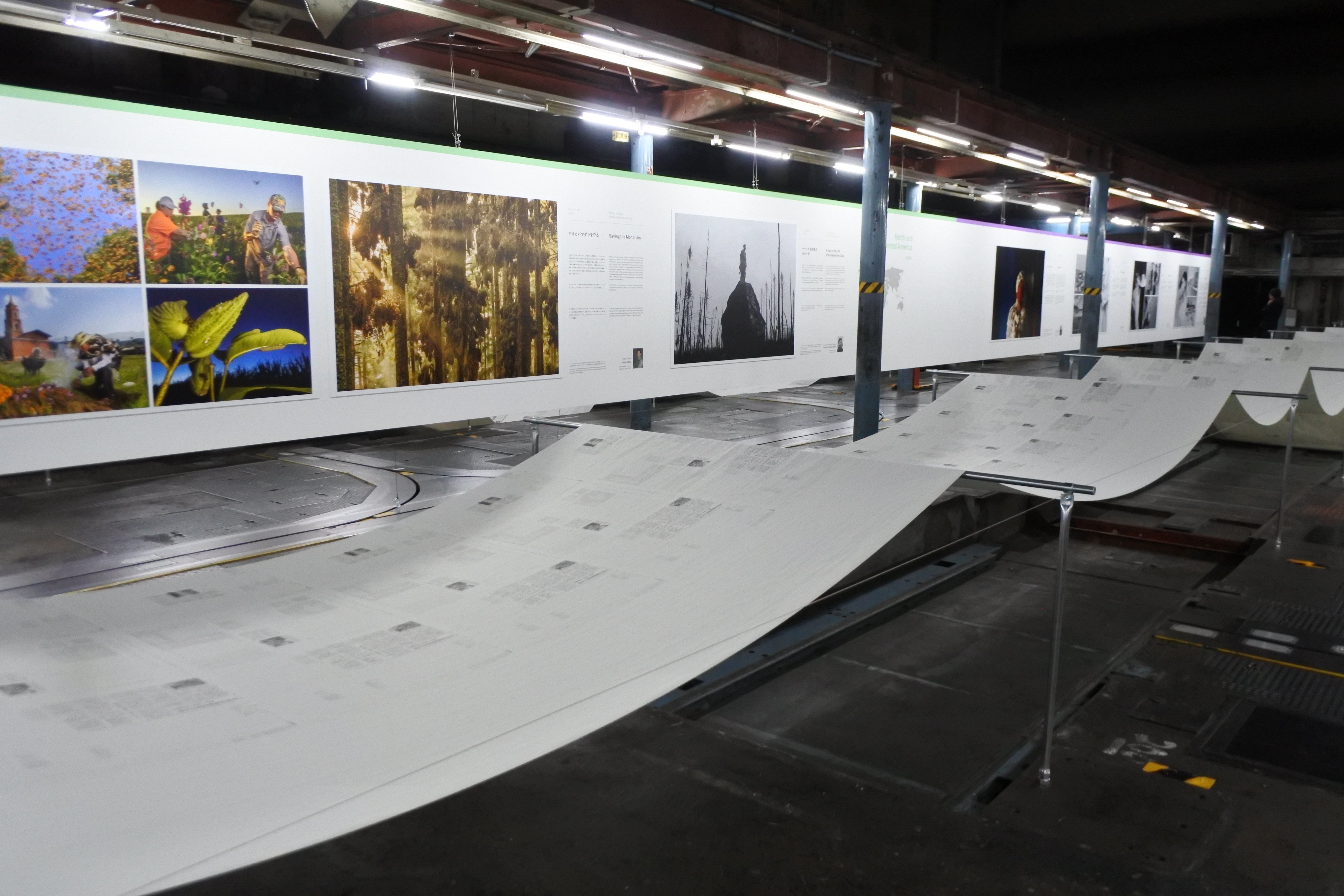 世界報道写真展2024京都｜りょうたろう
