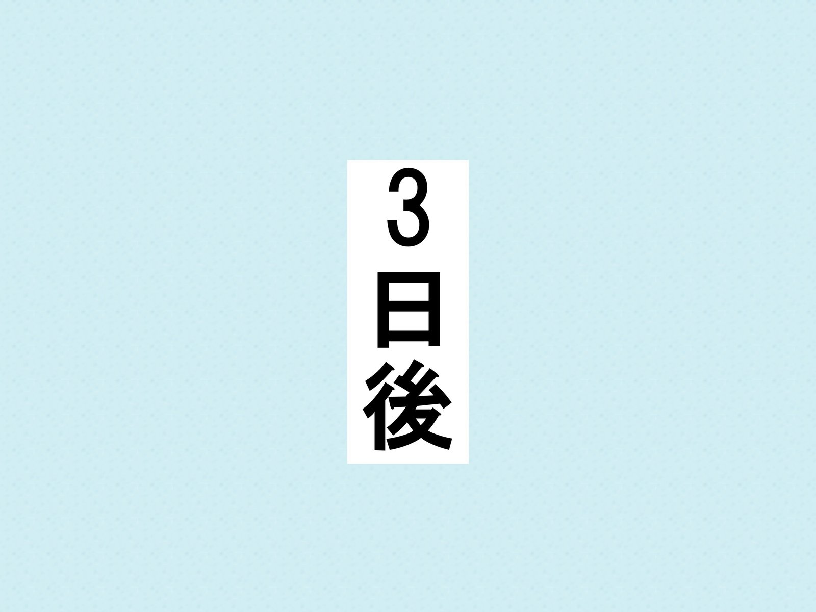 画像17