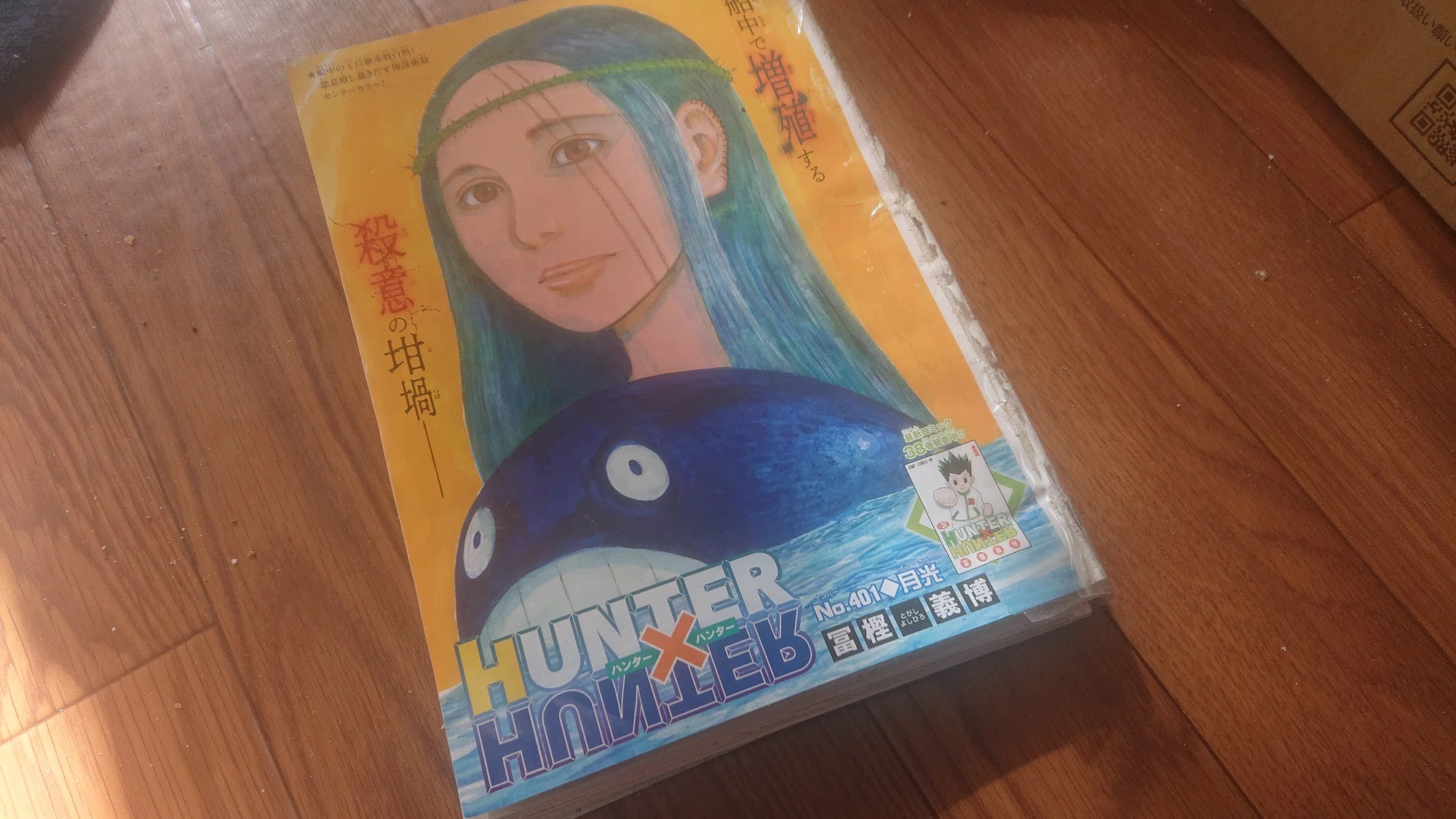 活動歴および当時の関連ビジュアル記録