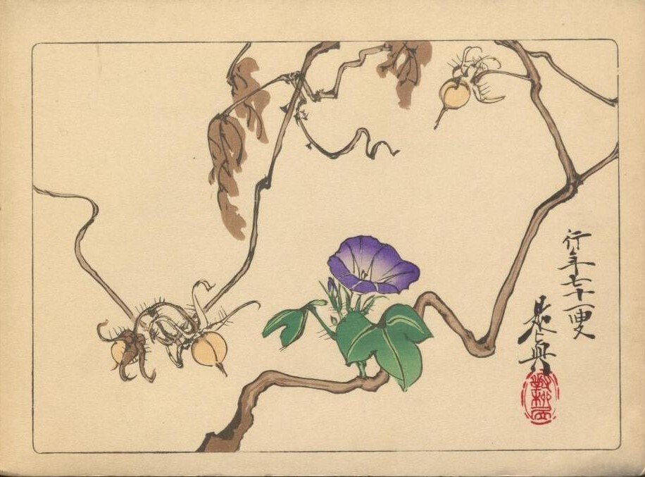 漆工と絵画の両方で優れた才能を発揮した柴田是真の画帖:是真 漆工と絵画の両方で優れた才能を発揮した柴田是真の画帖:是真