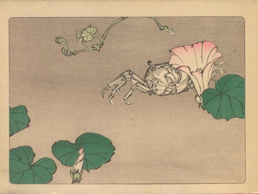 漆工と絵画の両方で優れた才能を発揮した柴田是真の画帖:是真 漆工と絵画の両方で優れた才能を発揮した柴田是真の画帖:是真