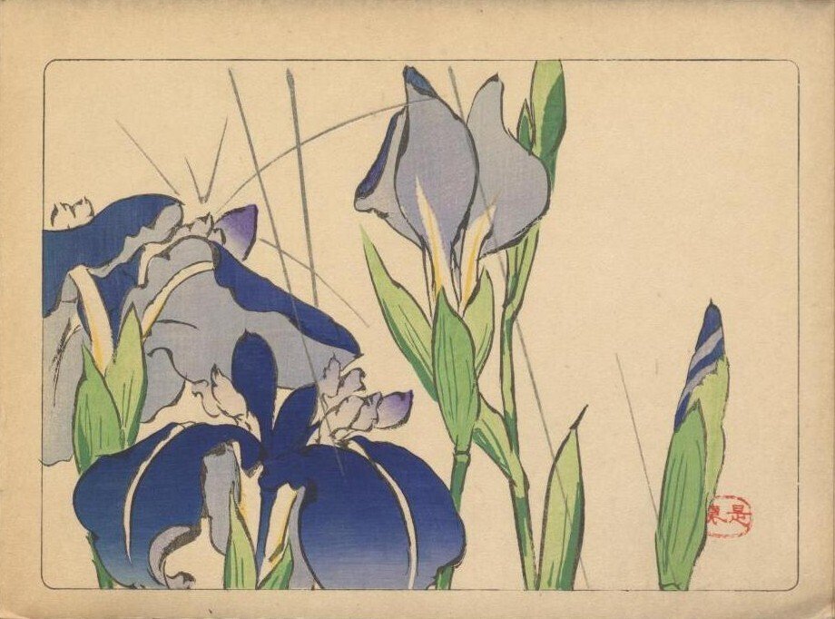 漆工と絵画の両方で優れた才能を発揮した柴田是真の画帖:是真 漆工と絵画の両方で優れた才能を発揮した柴田是真の画帖:是真