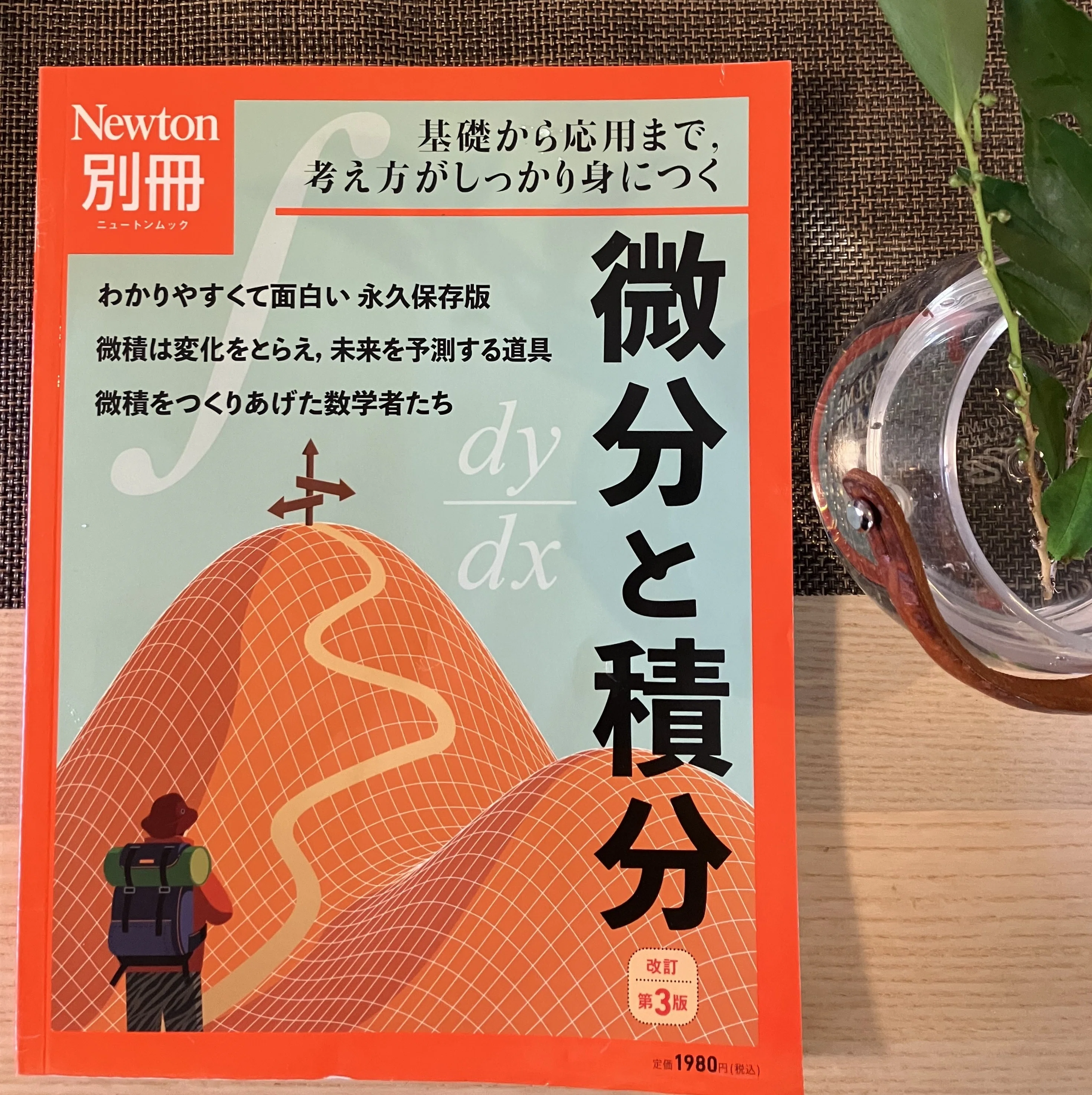 Differentiation｜微分、差別化｜Sako Saco