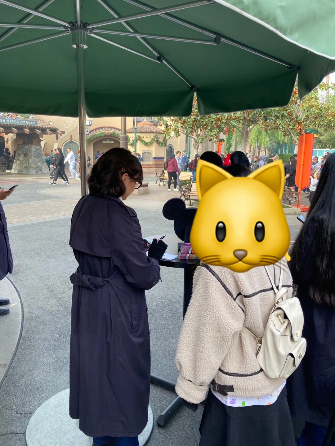 ディズニーランド　コート　アメリカ アメリカ駐在日記】人生初の海外ディズニー✨Disney California