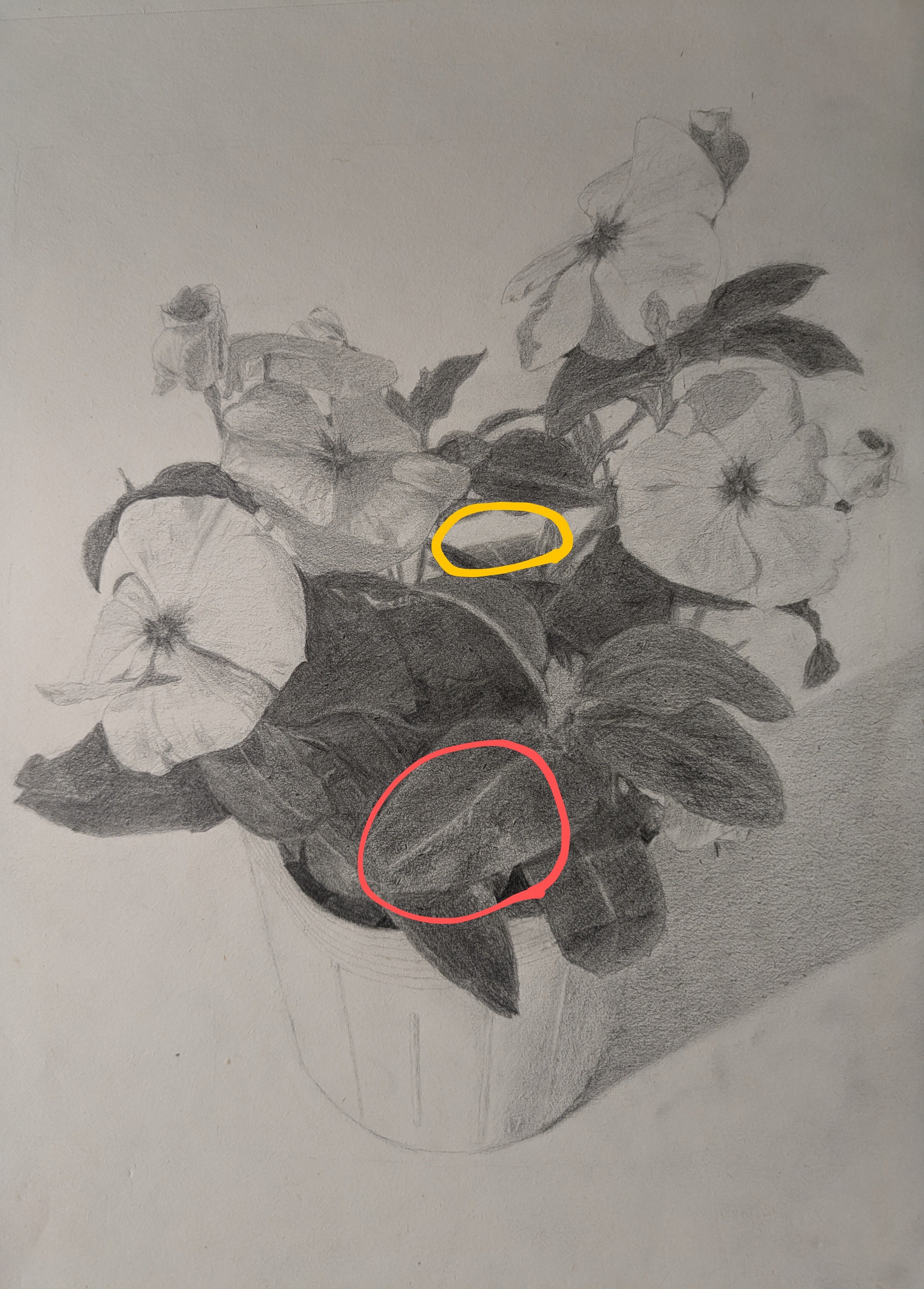 デッサン 花 rectangle_large_type_2_599990f