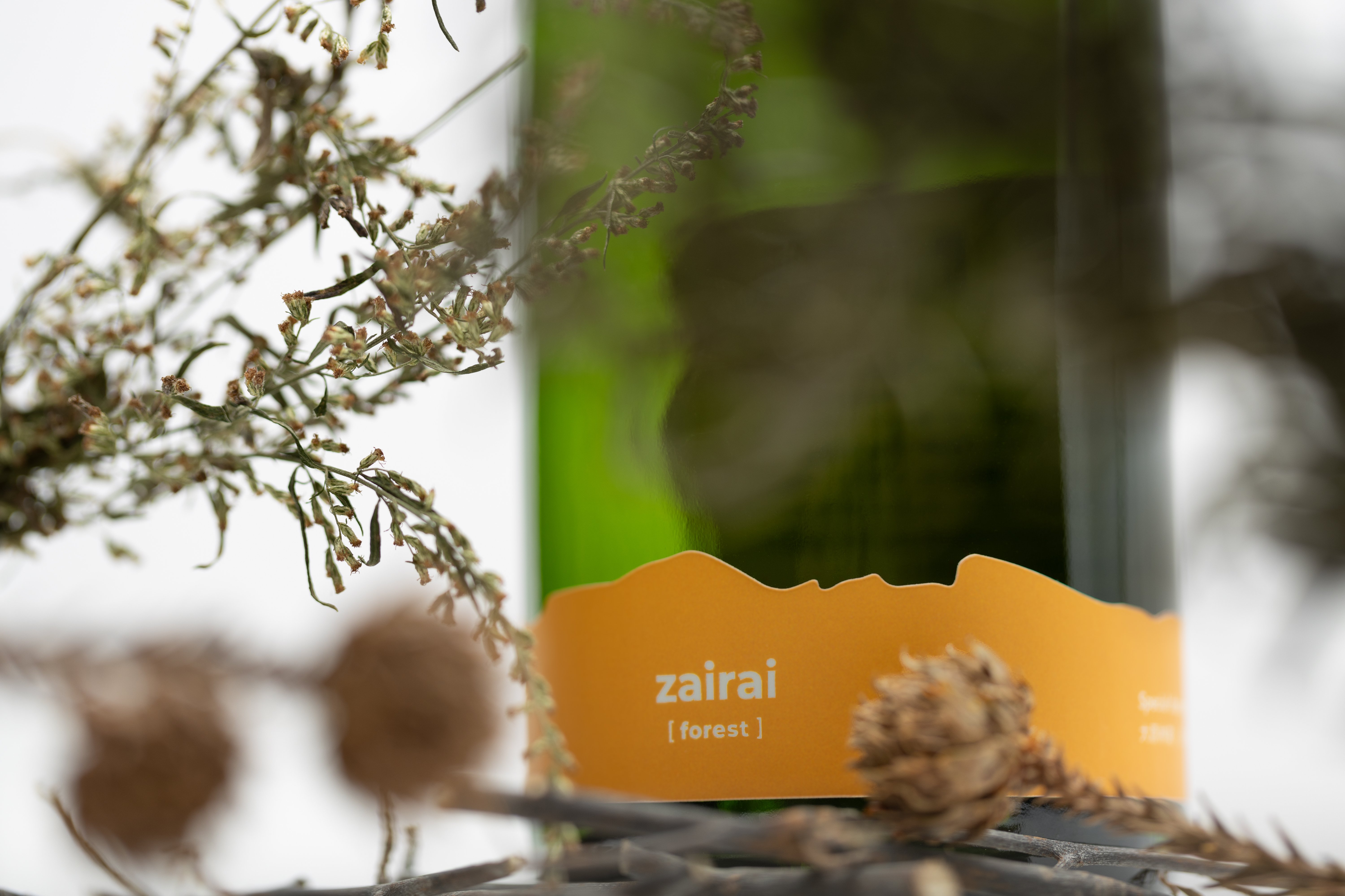 zairai [forest] を楽しむ｜haccoba -Craft Sake Brewery-