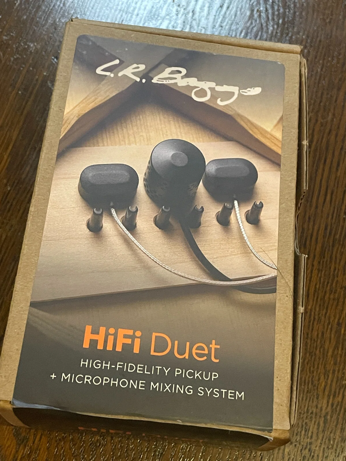 L.R.Baggs HiFi【未使用】（【まるで生音】L.R.Baggs HiFi 試してみ 