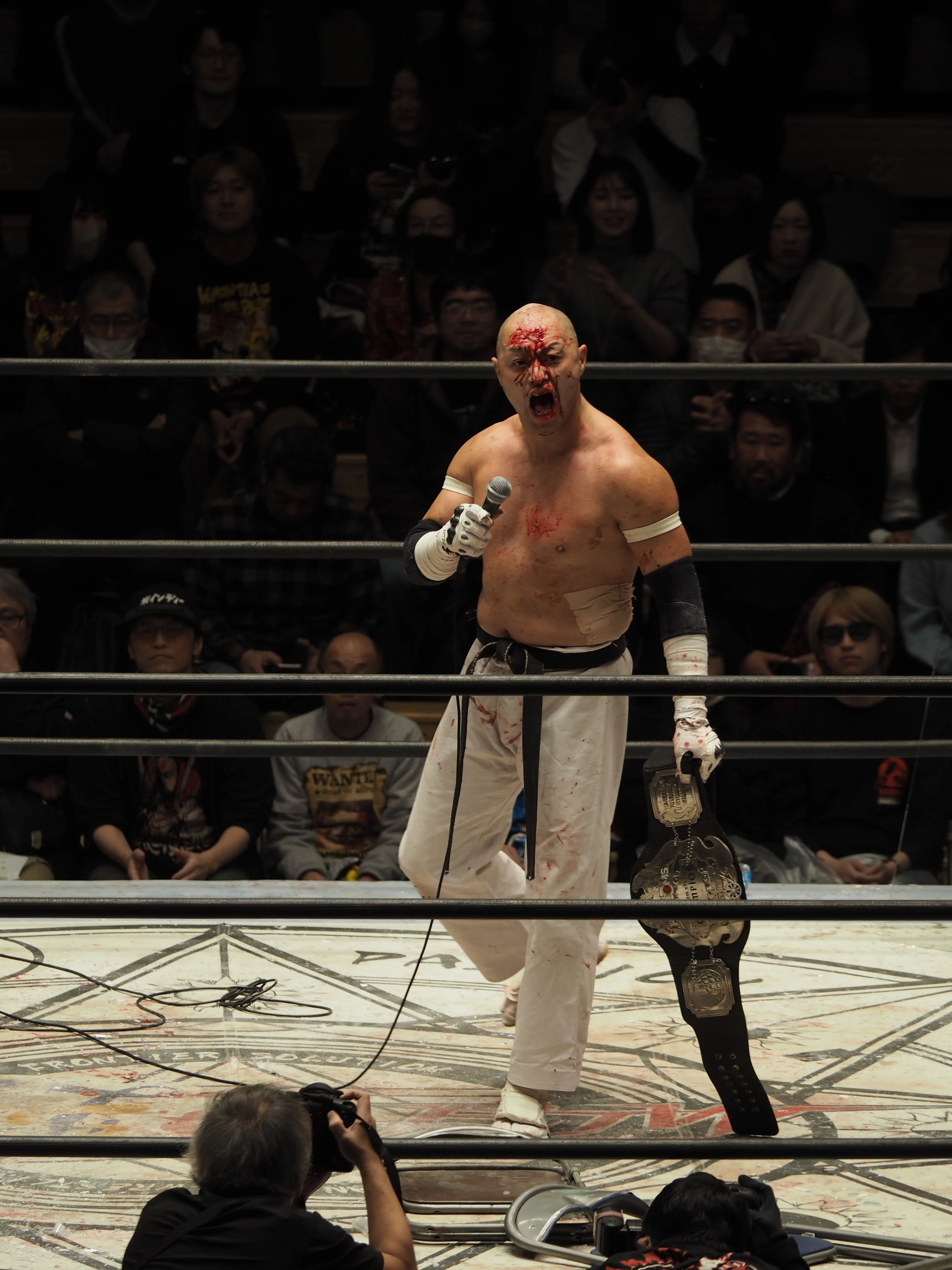 【真作】杉浦和利「菊 No.5」シルクスクリーン 30/80 額装 大型 A win is a win～2024.12.9『杉浦透vs菊田一美』～｜レンブラント