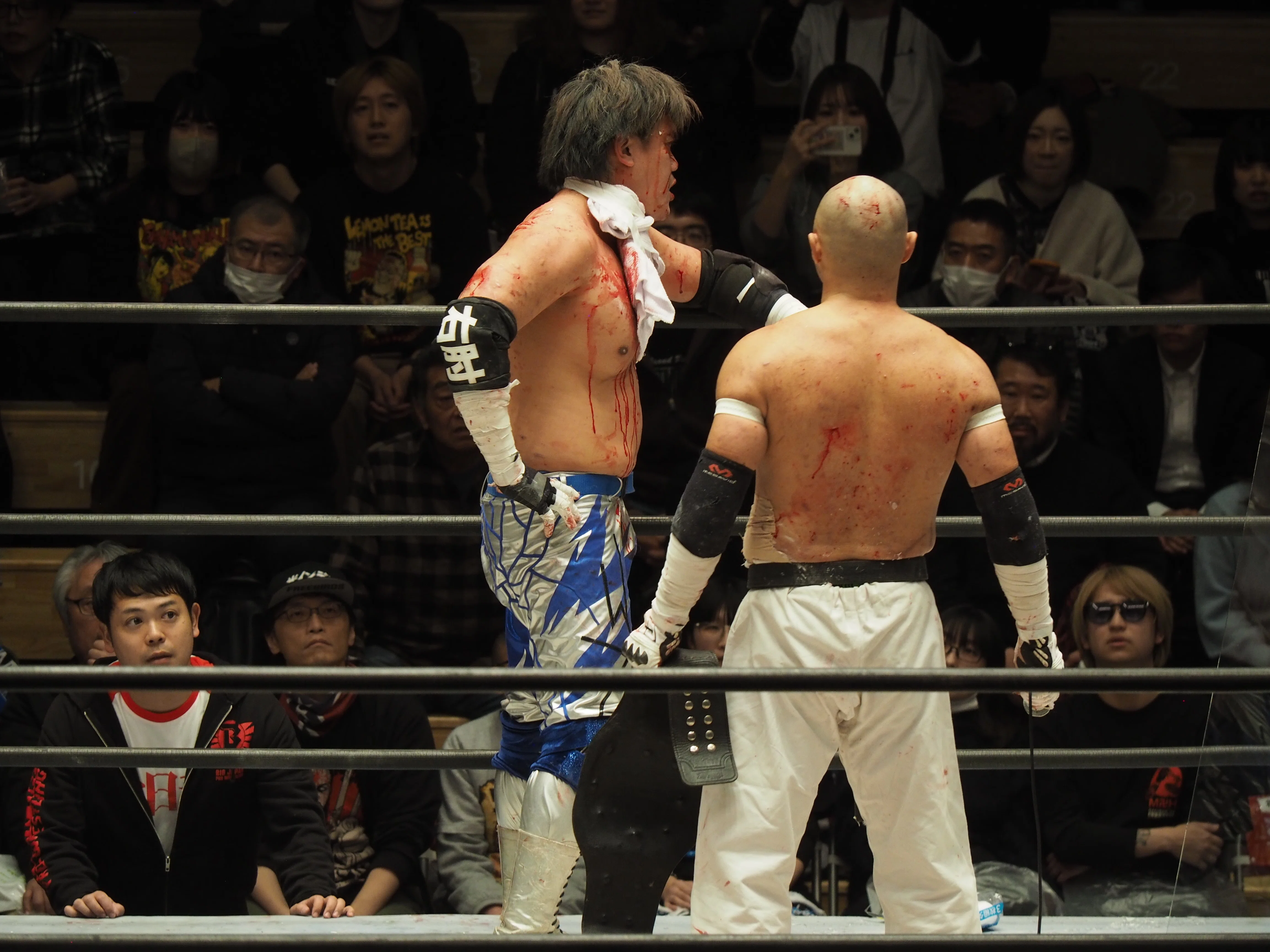 【真作】杉浦和利「菊 No.5」シルクスクリーン 30/80 額装 大型 A win is a win～2024.12.9『杉浦透vs菊田一美』～｜レンブラント