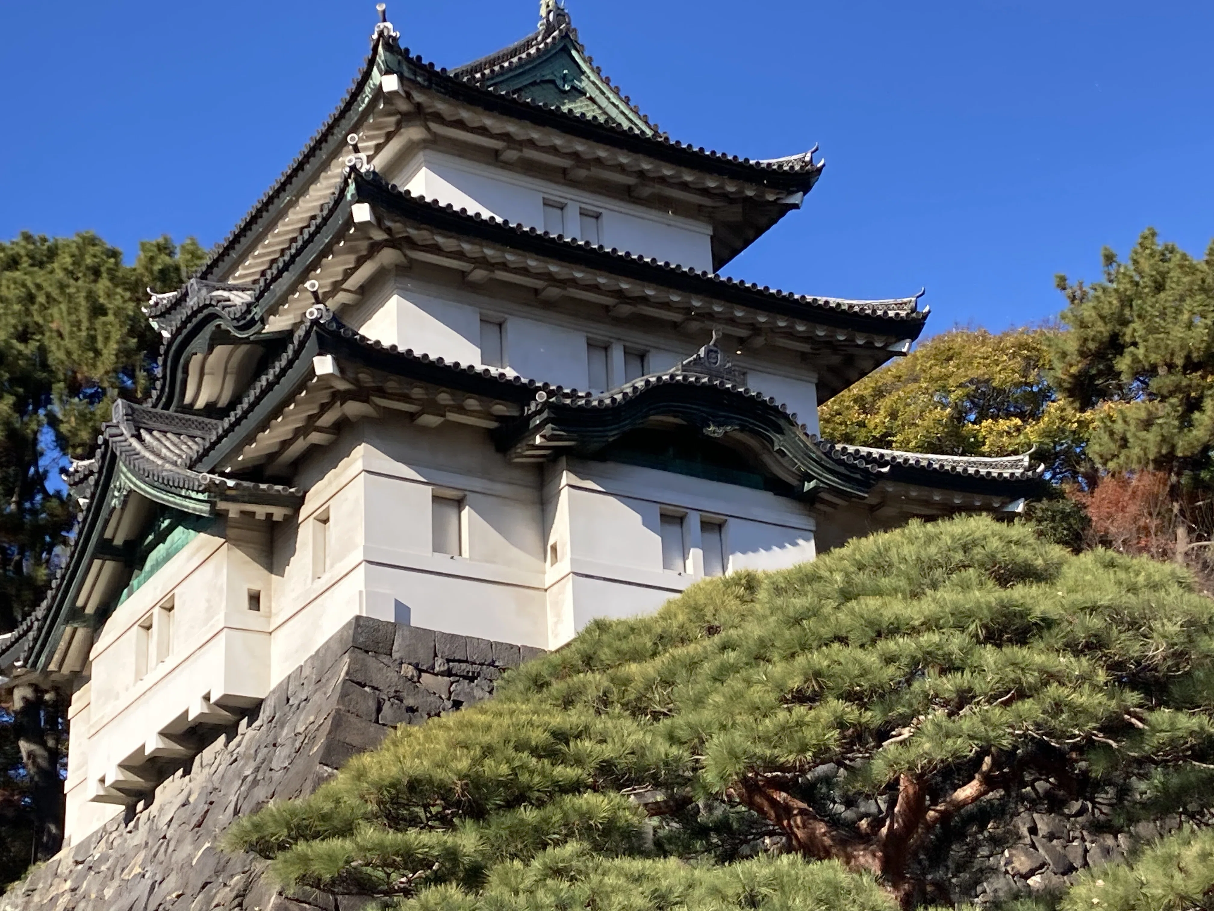 皇居を歩く 〜皇居一般参観〜｜tora
