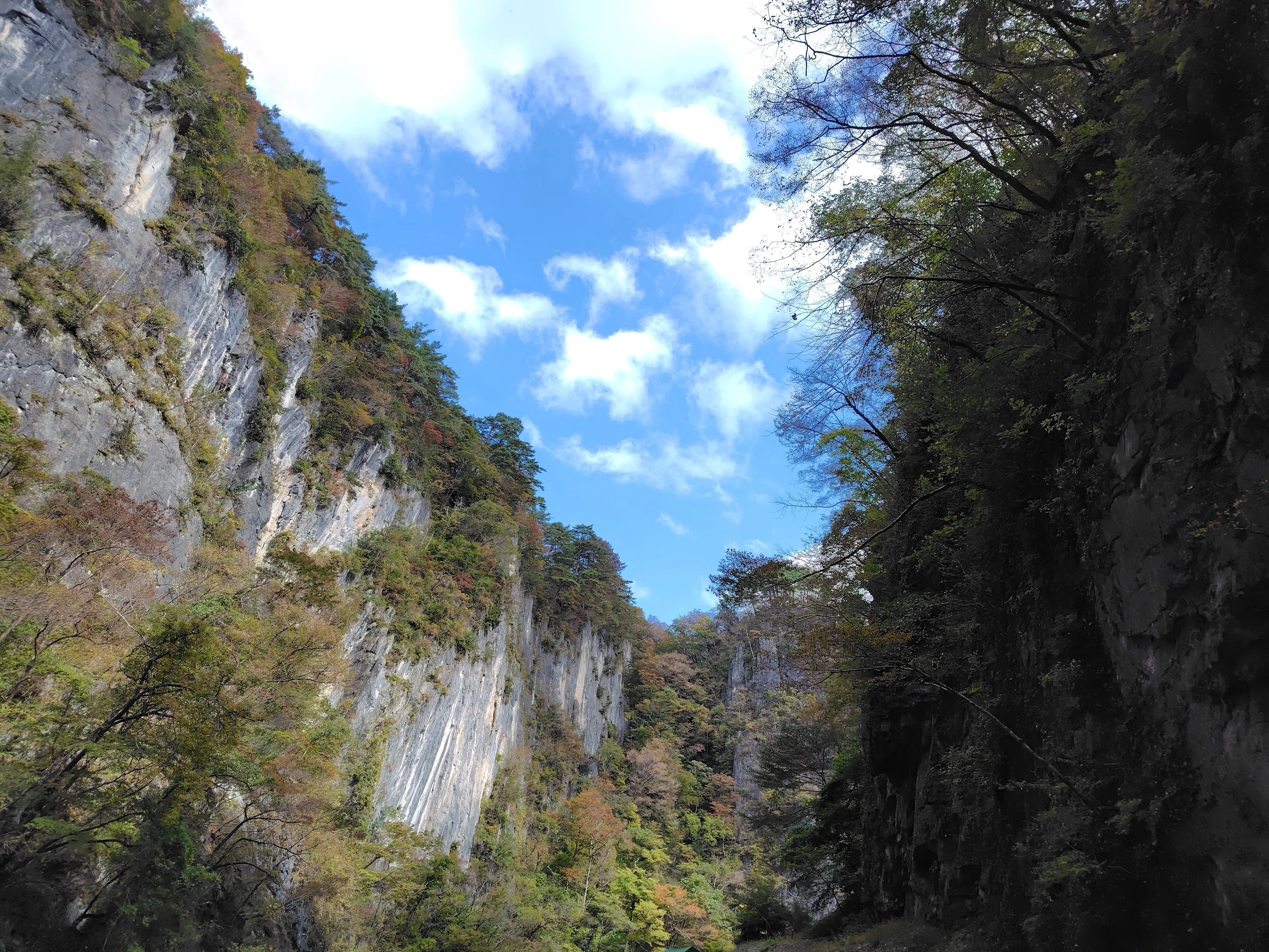 奥州平泉を観るんじゃい！②／ミドル夫婦の新幹線de岩手県｜高伏 アサ