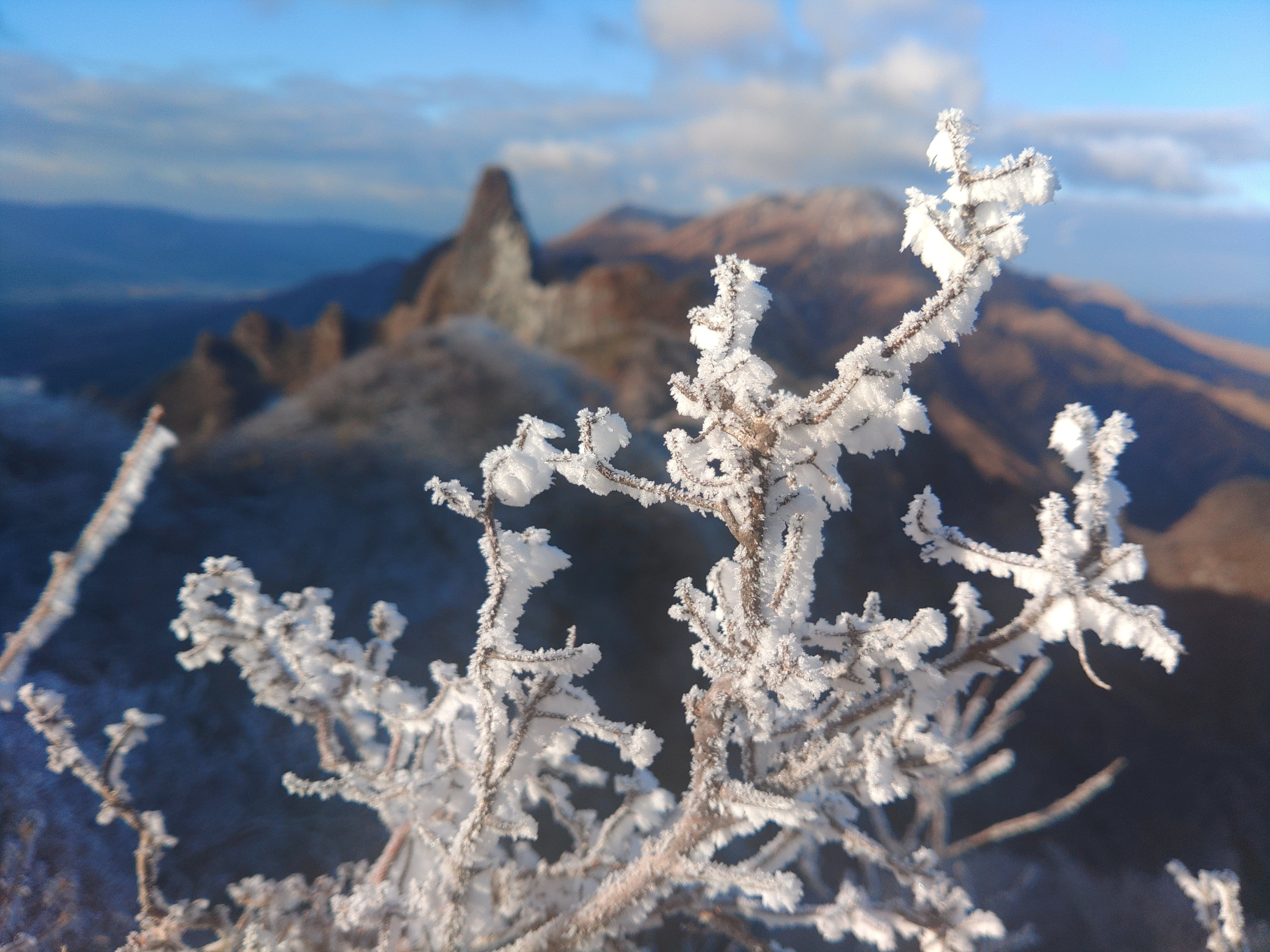極寒の絶景 根子岳(阿蘇山)登山｜carpenterbee