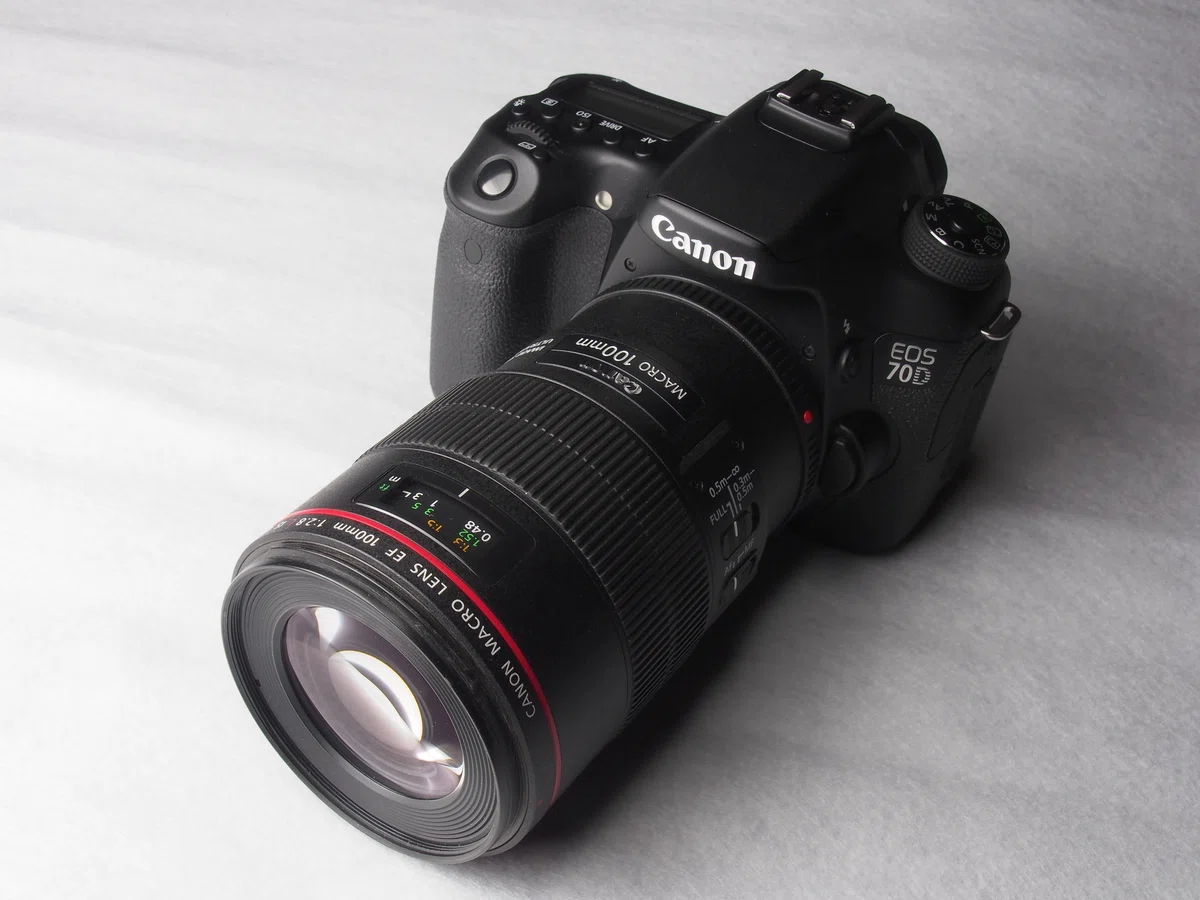 思い出デジカメ『キヤノン EOS 70D』｜思い出デジカメ