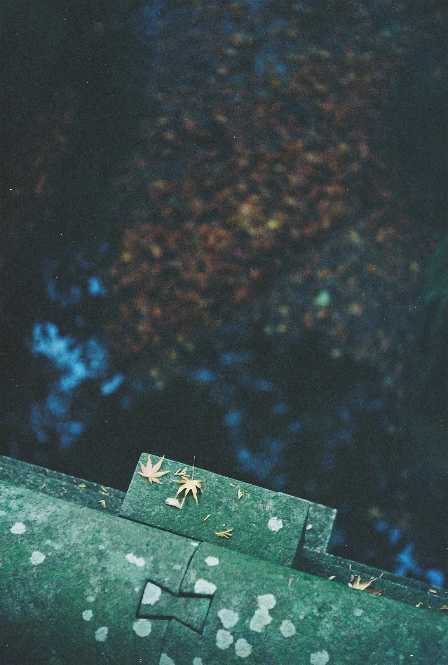 珍フィルムスナップ：Hands On Film Spring 200（鎌倉）｜Schaccie