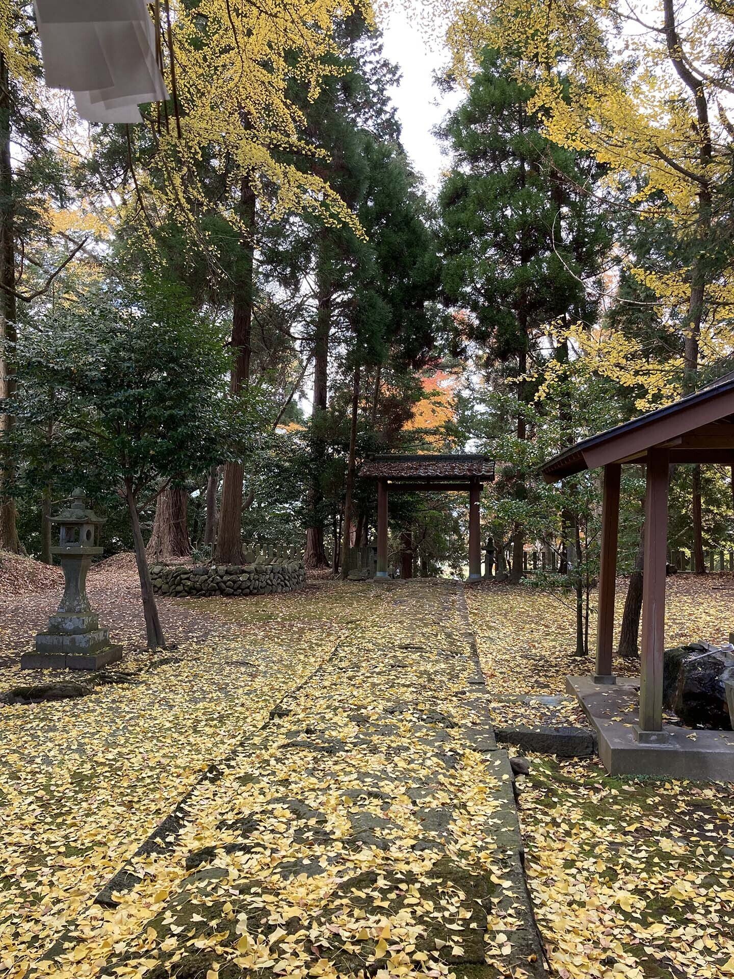 山小屋滞在録（15） 〜牛も私も冬仕舞い 編〜｜川崎クニハル