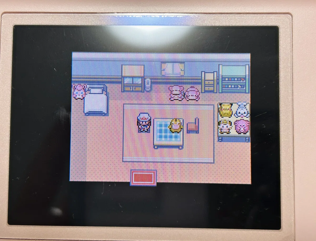 2024年の3世代ポケモン振り返り｜あんか