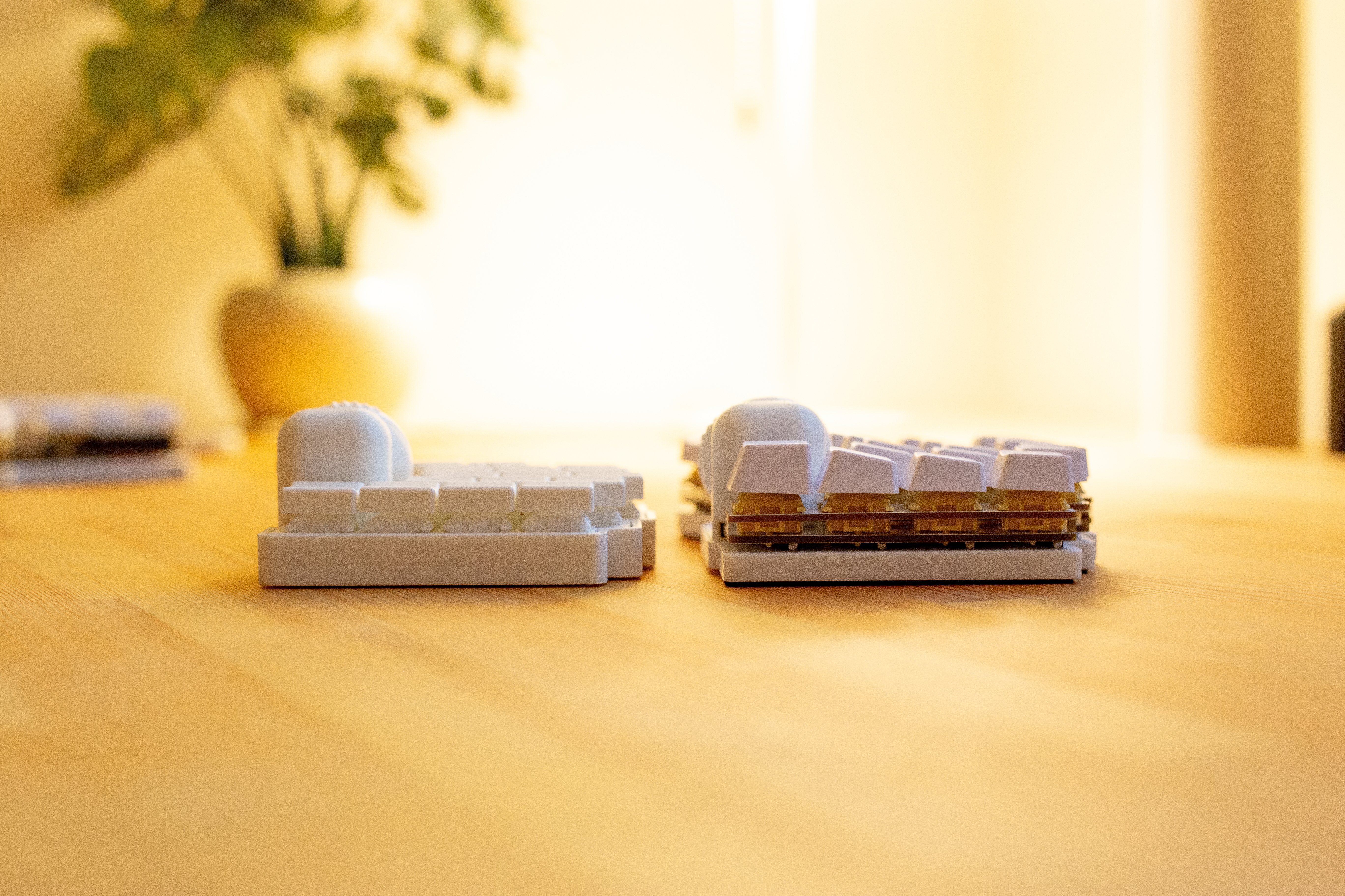 悪魔的な魅力。無線分割キーボード「moNa2」を飼う。｜ぶらきよ