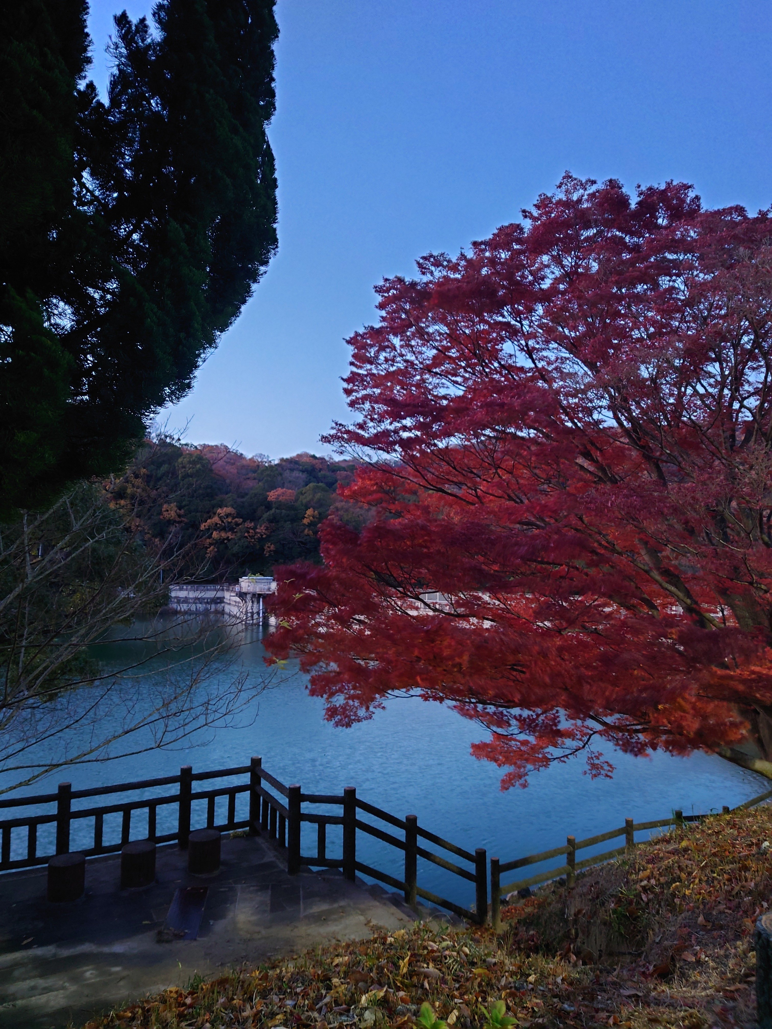 半原の風景画（貯水池） 半原水源地