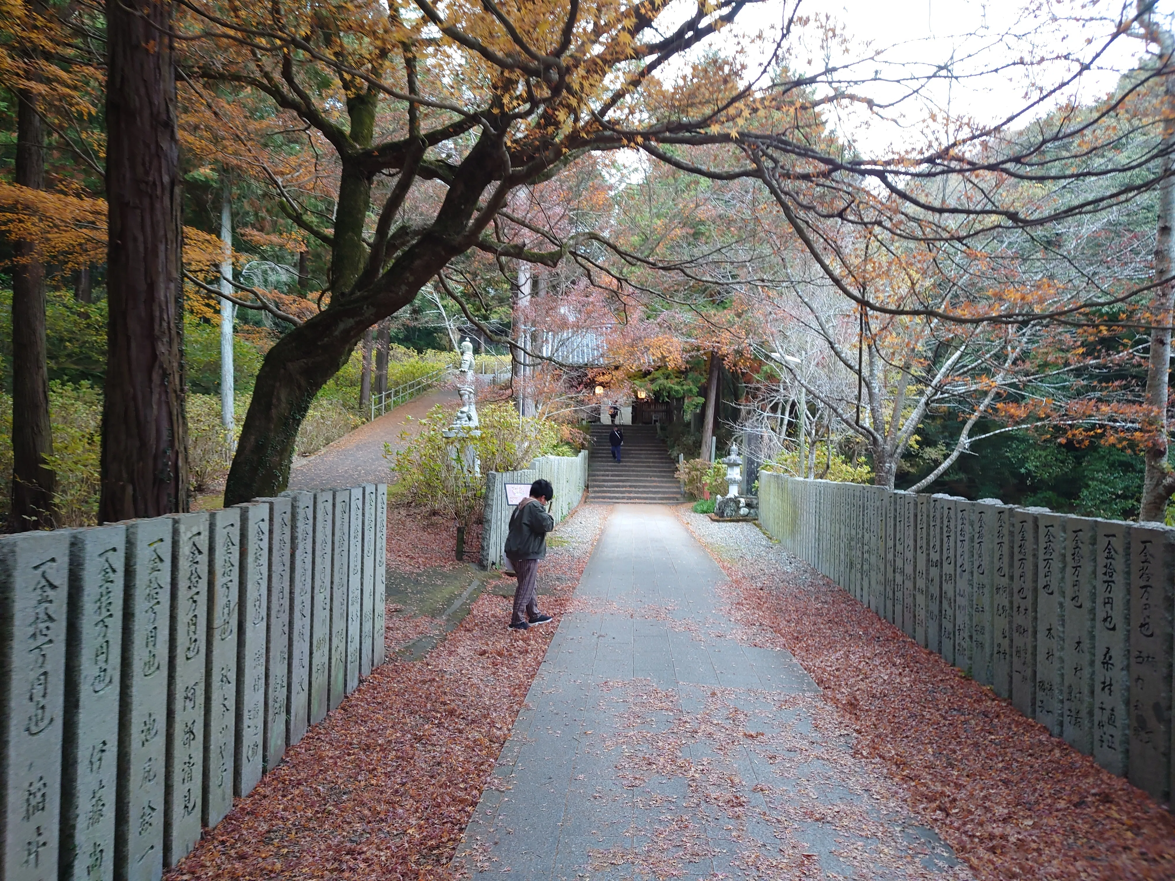 そのへんのOLのカジュアルお遍路のすすめ 20 楽々編（徳島④）｜Yuba