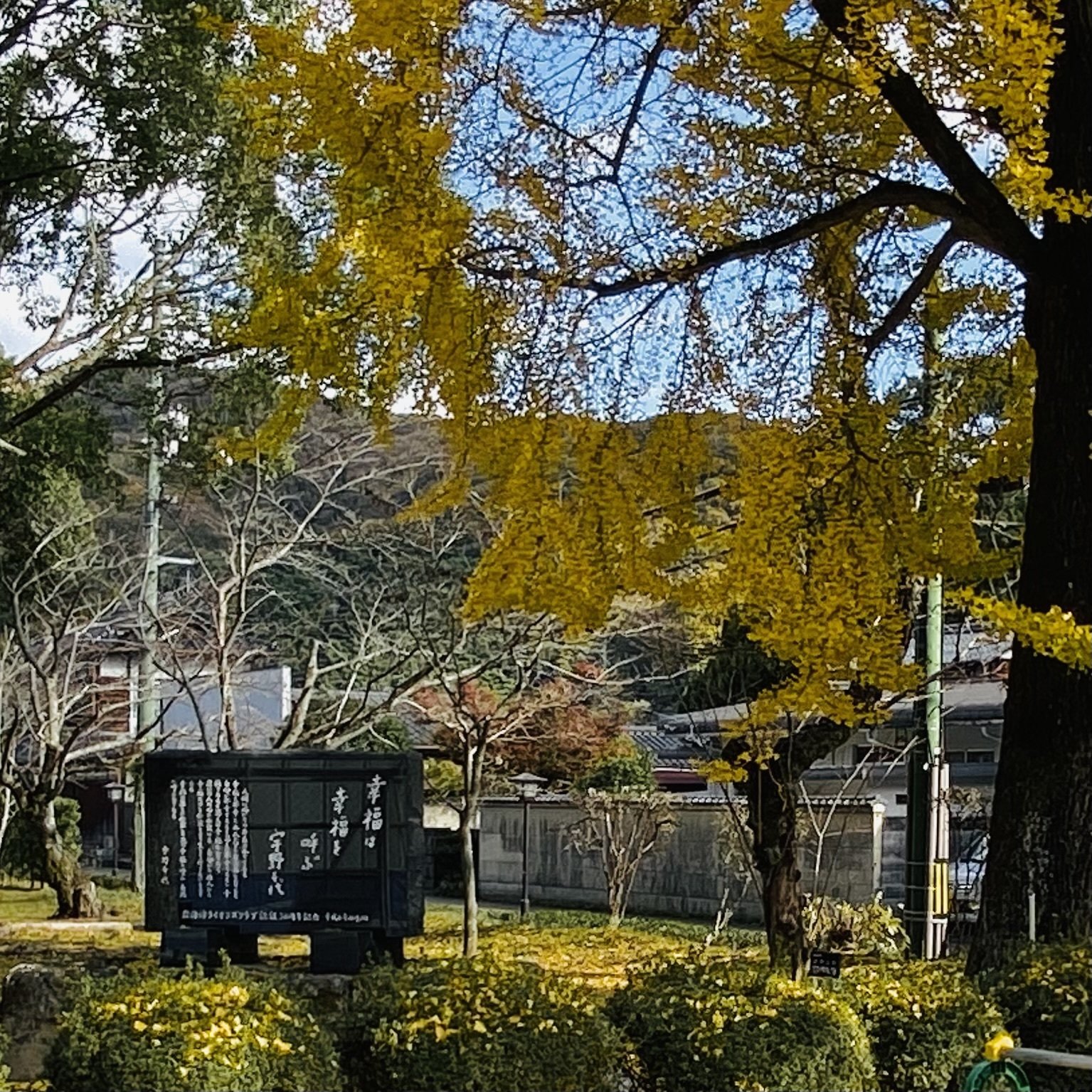 宇野千代　シルクスクリーン　岩国　錦川 Amazon.co.jp: 宇野千代 錦川 桜 絵画 和風 山口県岩国市 シルク