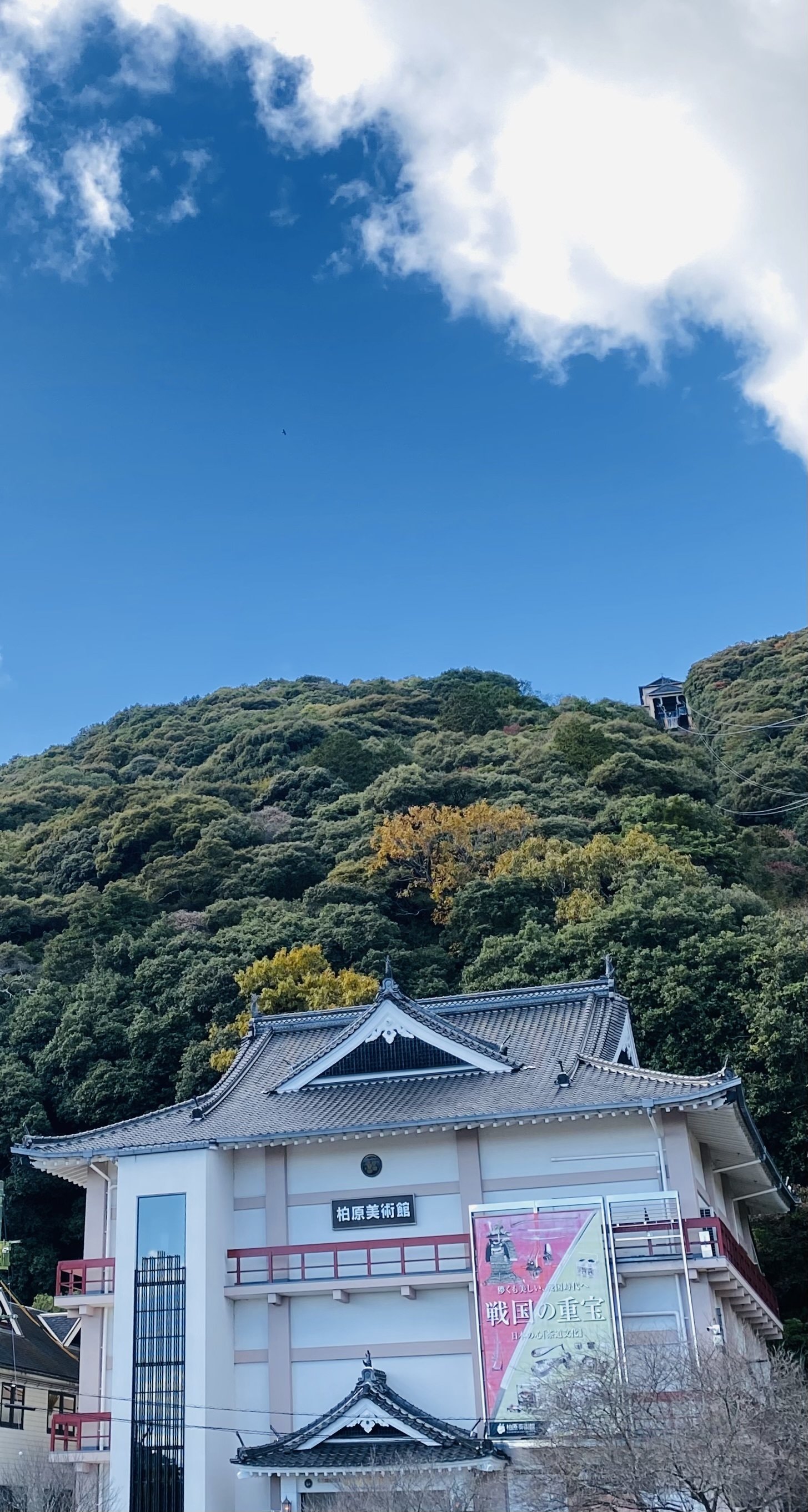 宇野千代　シルクスクリーン　岩国　錦川 Amazon.co.jp: 宇野千代 錦川 桜 絵画 和風 山口県岩国市 シルク