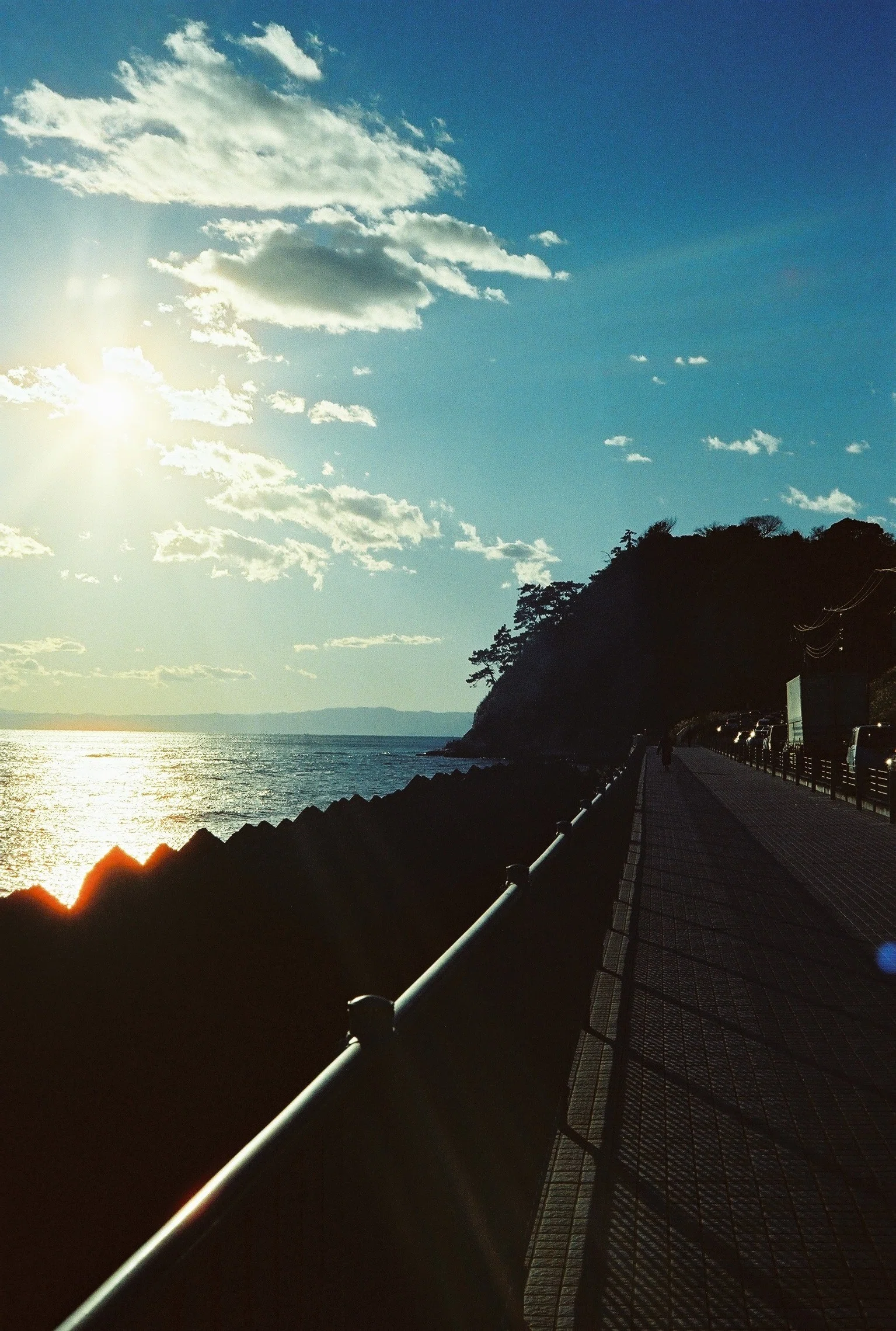 珍フィルムスナップ：Hands On Film Autumn 200（鎌倉）｜Schaccie