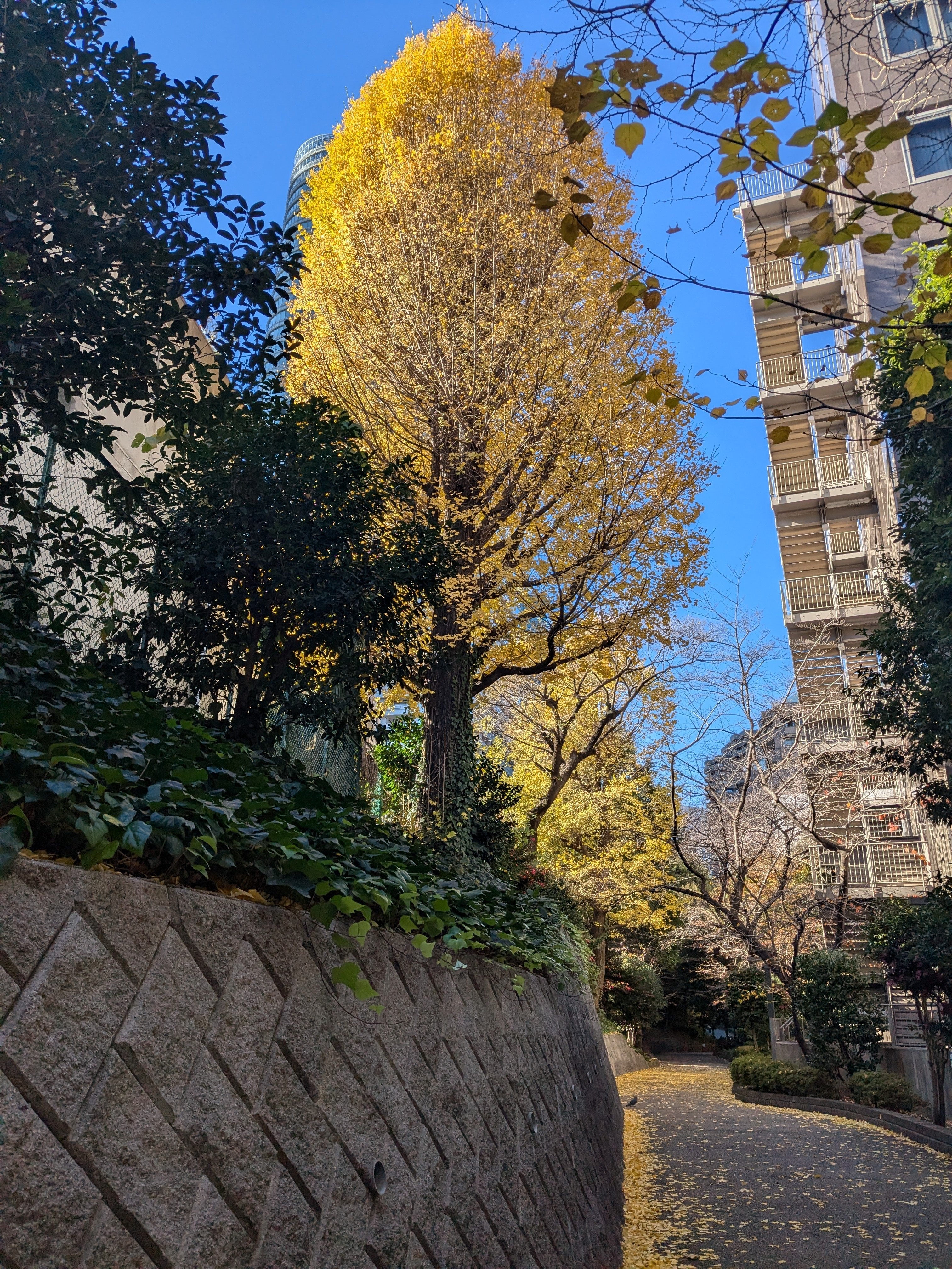 オタケ・インパクト ー越堂・竹坡・国観 尾竹三兄弟の日本画アナキズム