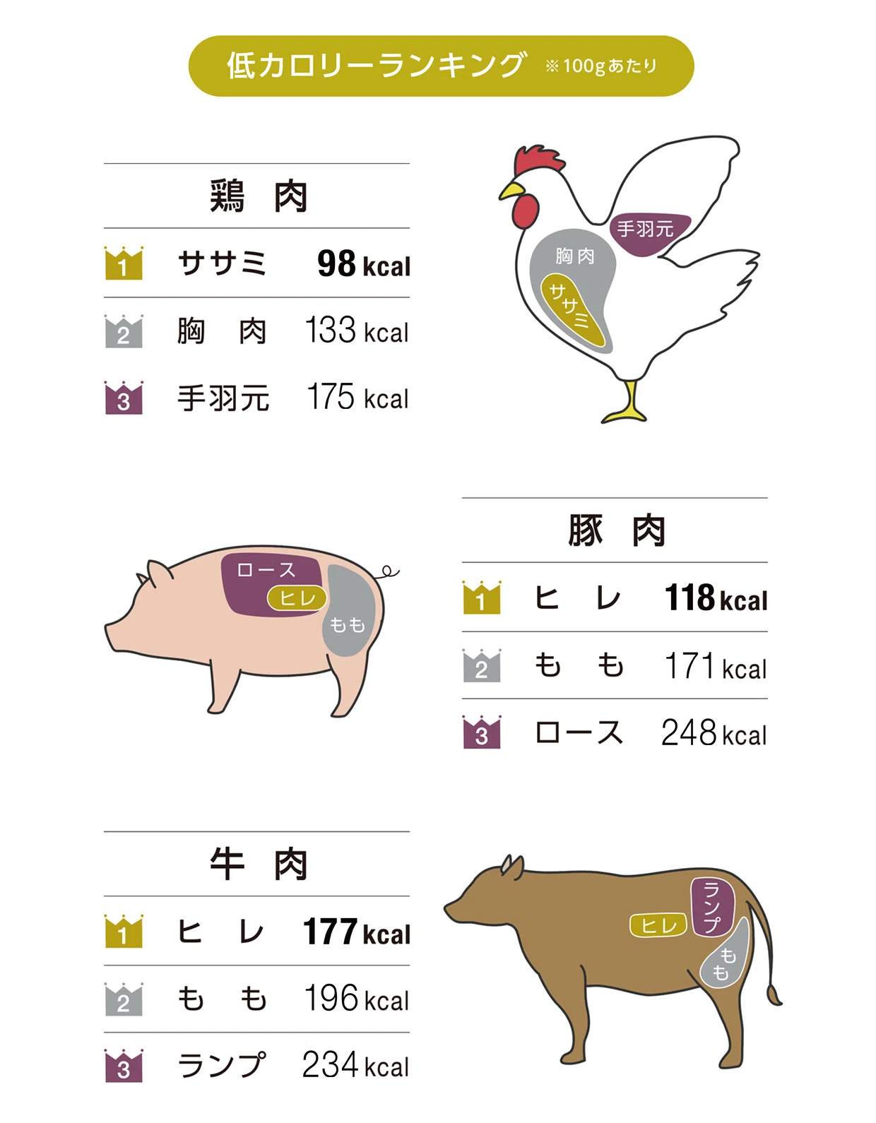 The Secret to Calorie Control Lies in Fat!｜健康サポートプログラム