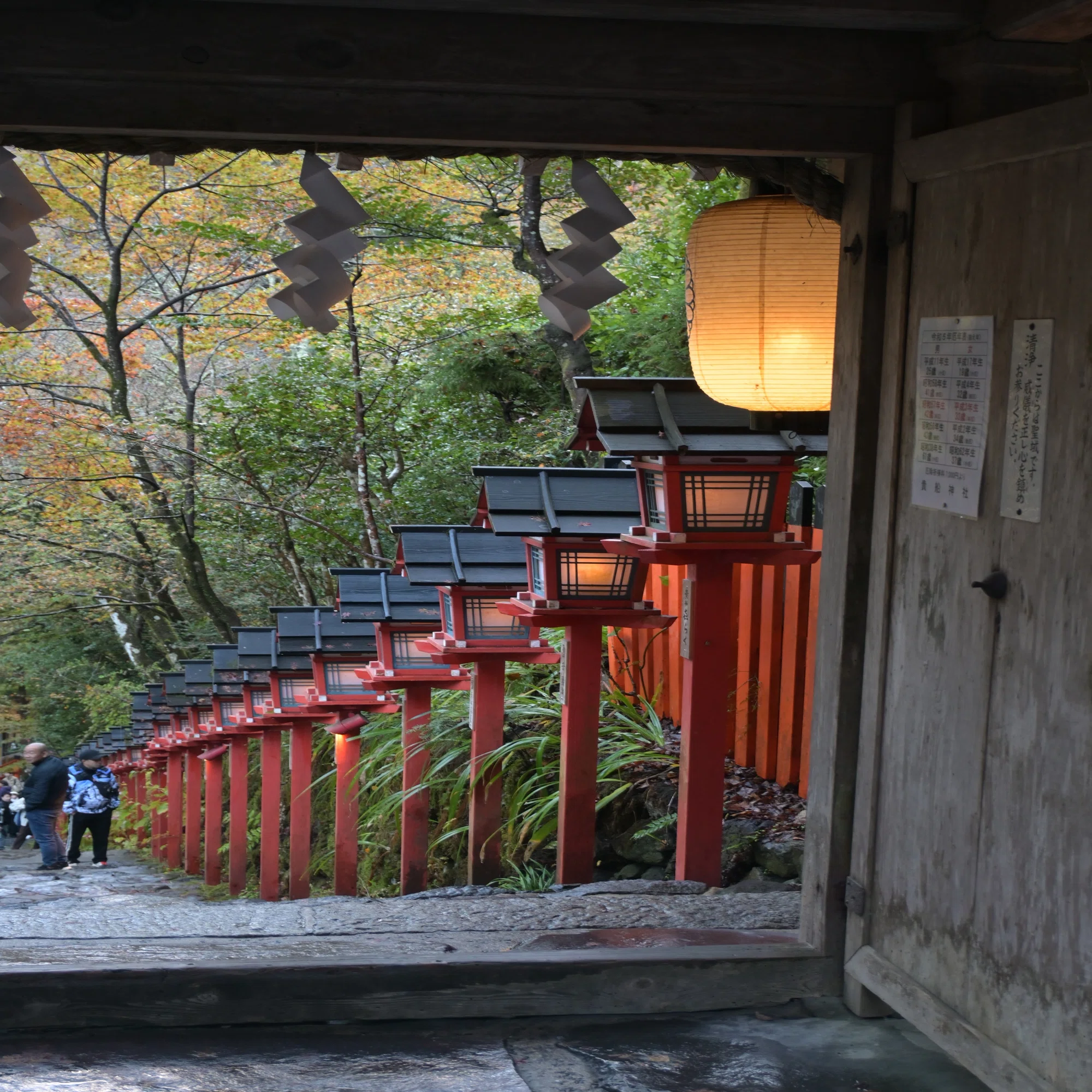 写りがいいキットレンズ-NIKKOR Z DX 16-50mm f/3.5-6.3 VR｜ftomo_camera