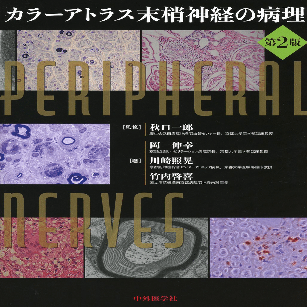 2024年度（第50回）神経内科専門医試験体験記｜ばくふうん