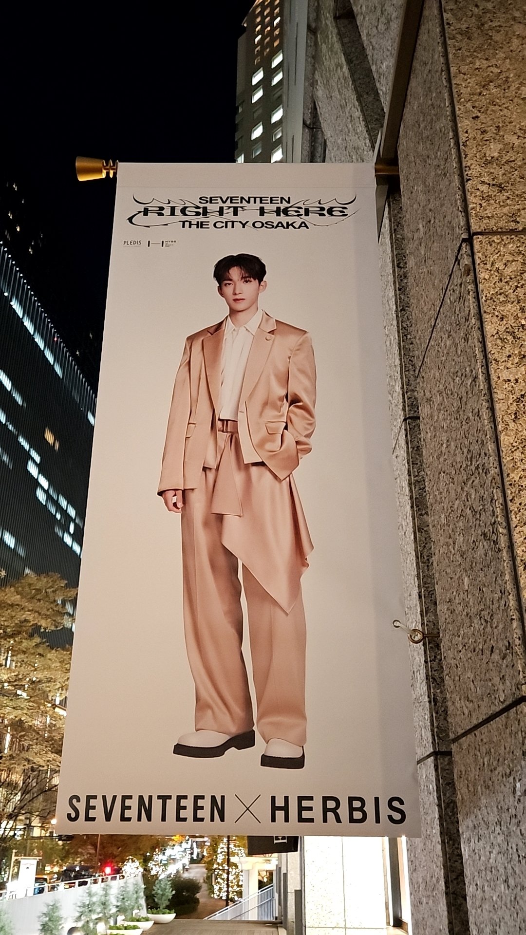 SEVENTEEN [RIGHT HERE] WORLD TOUR IN JAPANに参戦した話 EP. 0｜🍕