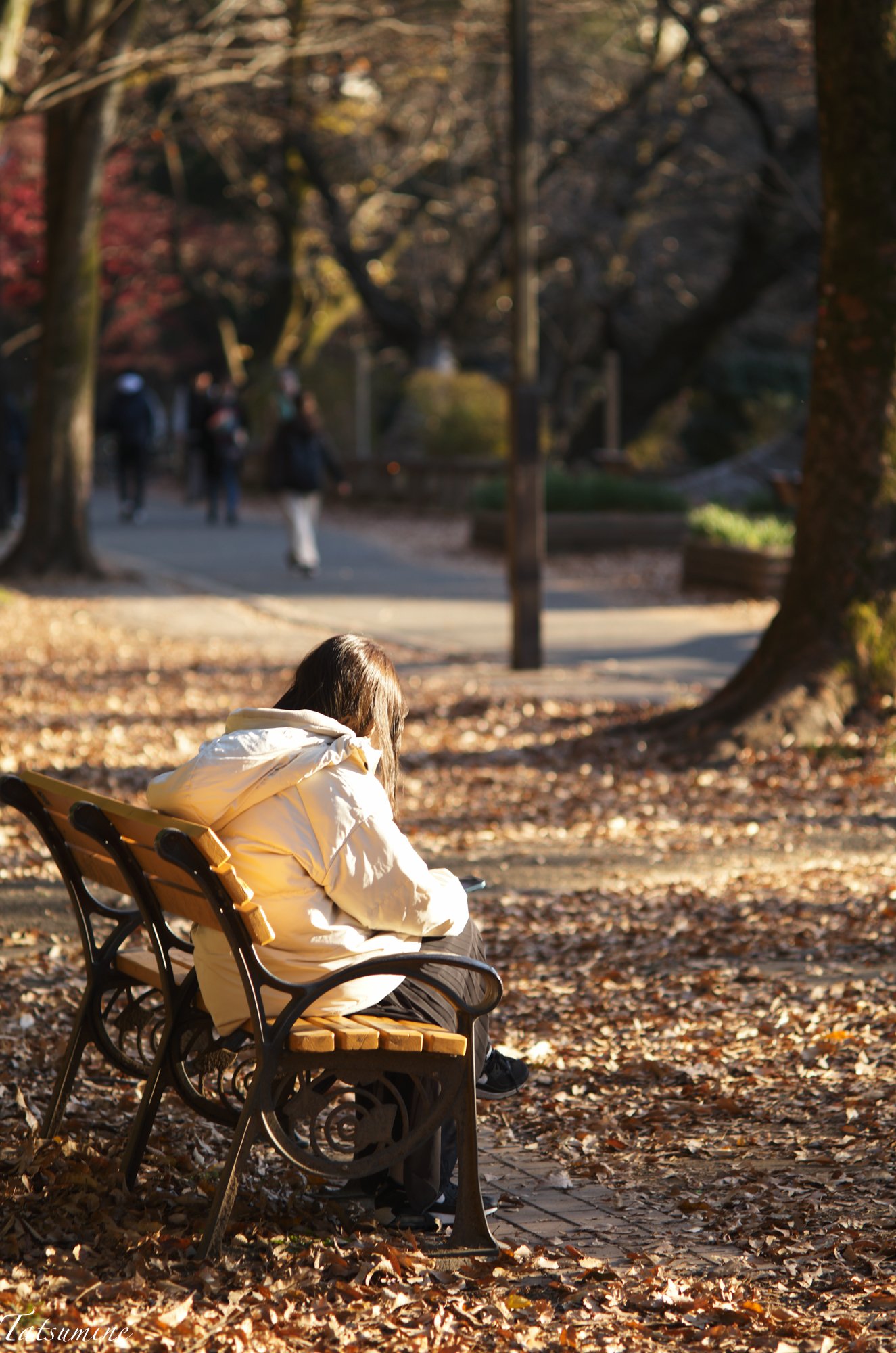 Canon (Serenar) 135mm F3.5 L39マウント|tatsumine Canon (Serenar) 135mm F3.5 L39マウント|tatsumine