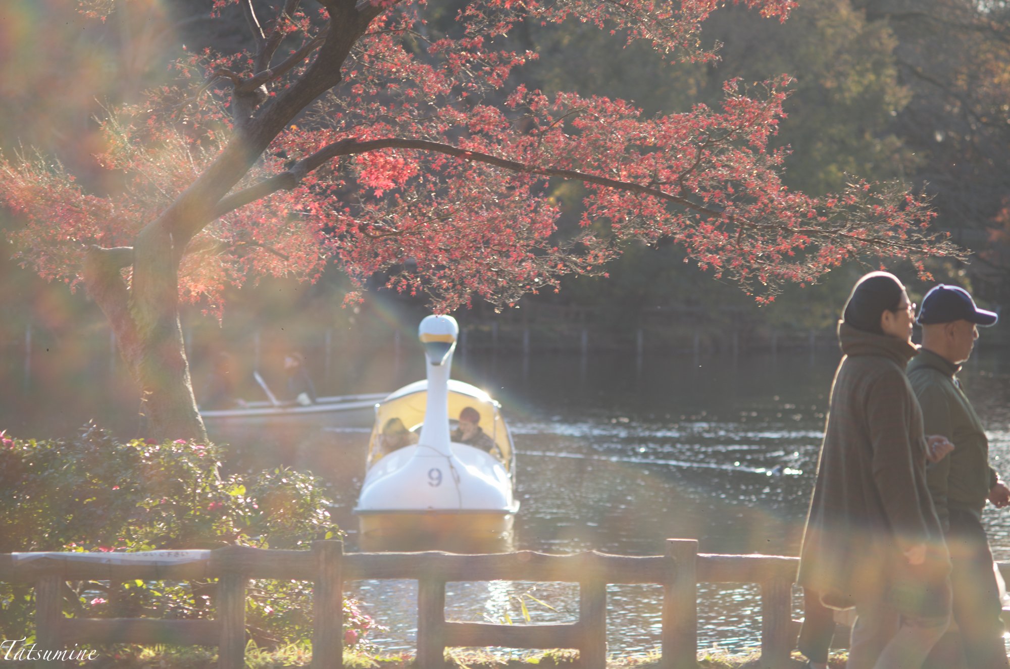 Canon (Serenar) 135mm F3.5 L39マウント｜tatsumine