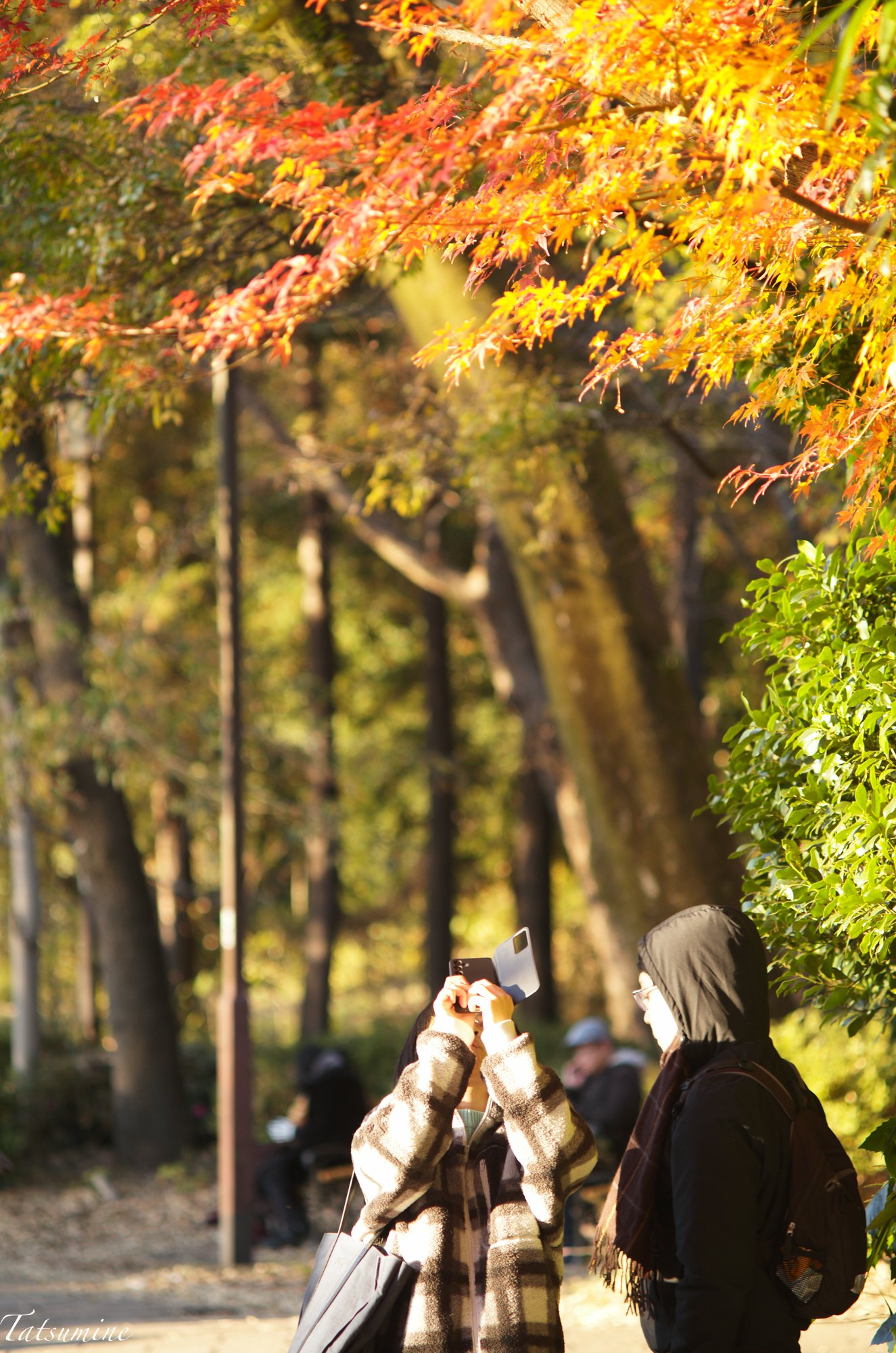 レトロ⭐7142 Canon SERENAR 135mm 4ライカ Lマウント レトロ⭐7142 Canon SERENAR 135mm 4ライカ Lマウント